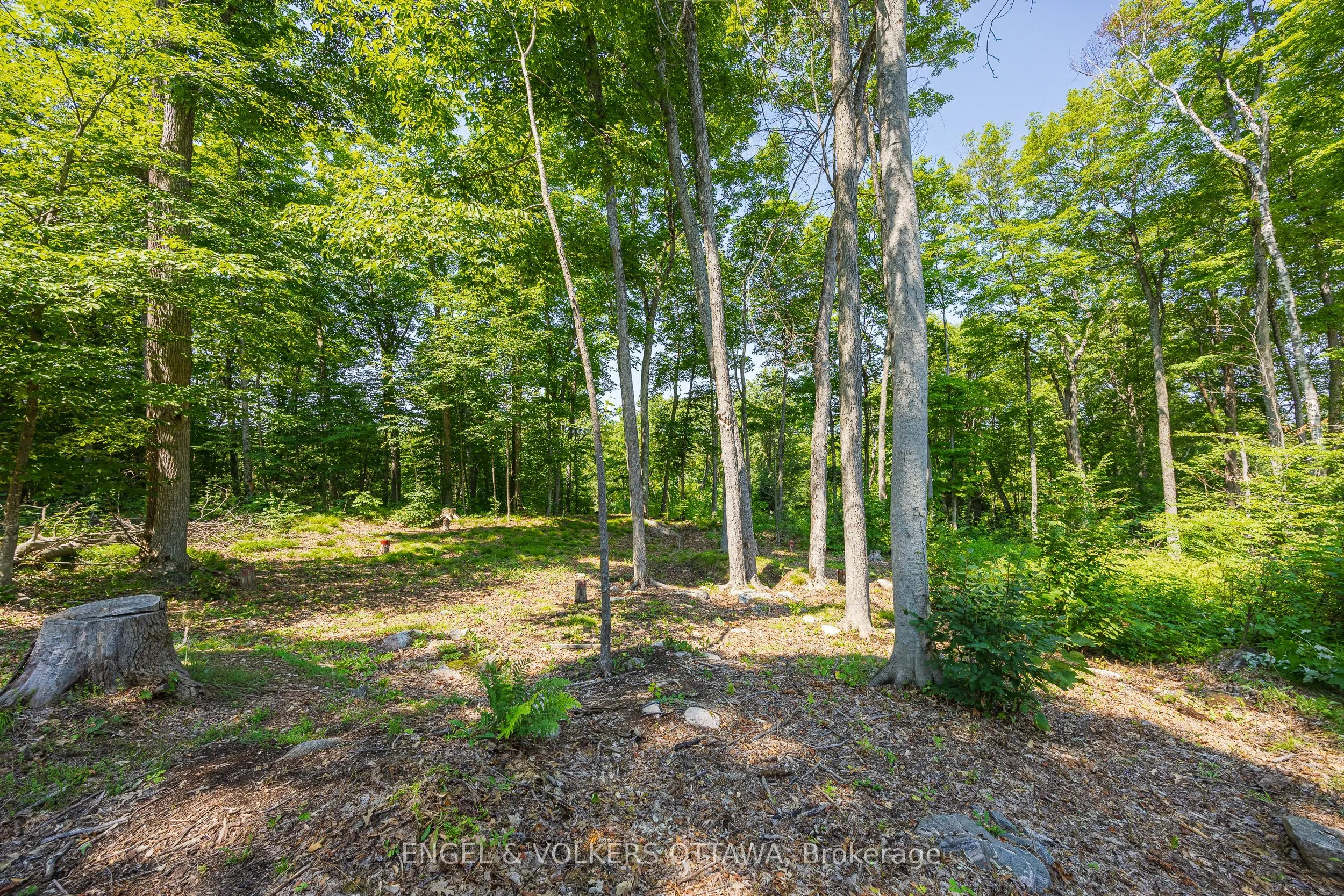 223 Shady Maple Road
