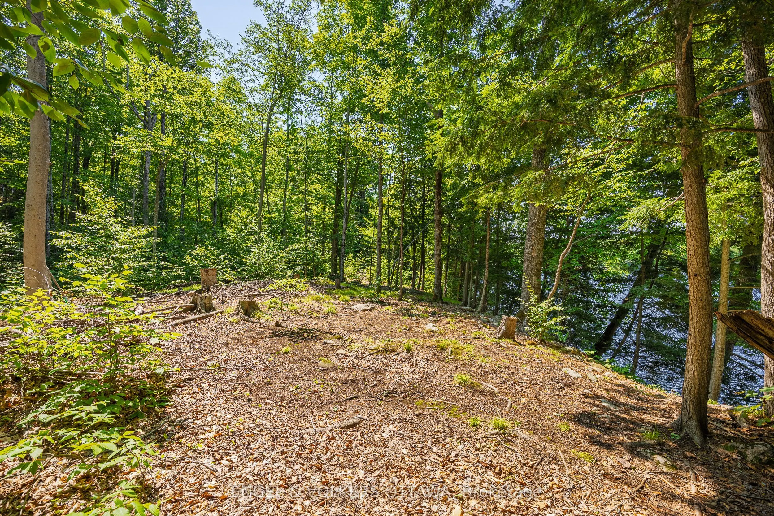 223 Shady Maple Road