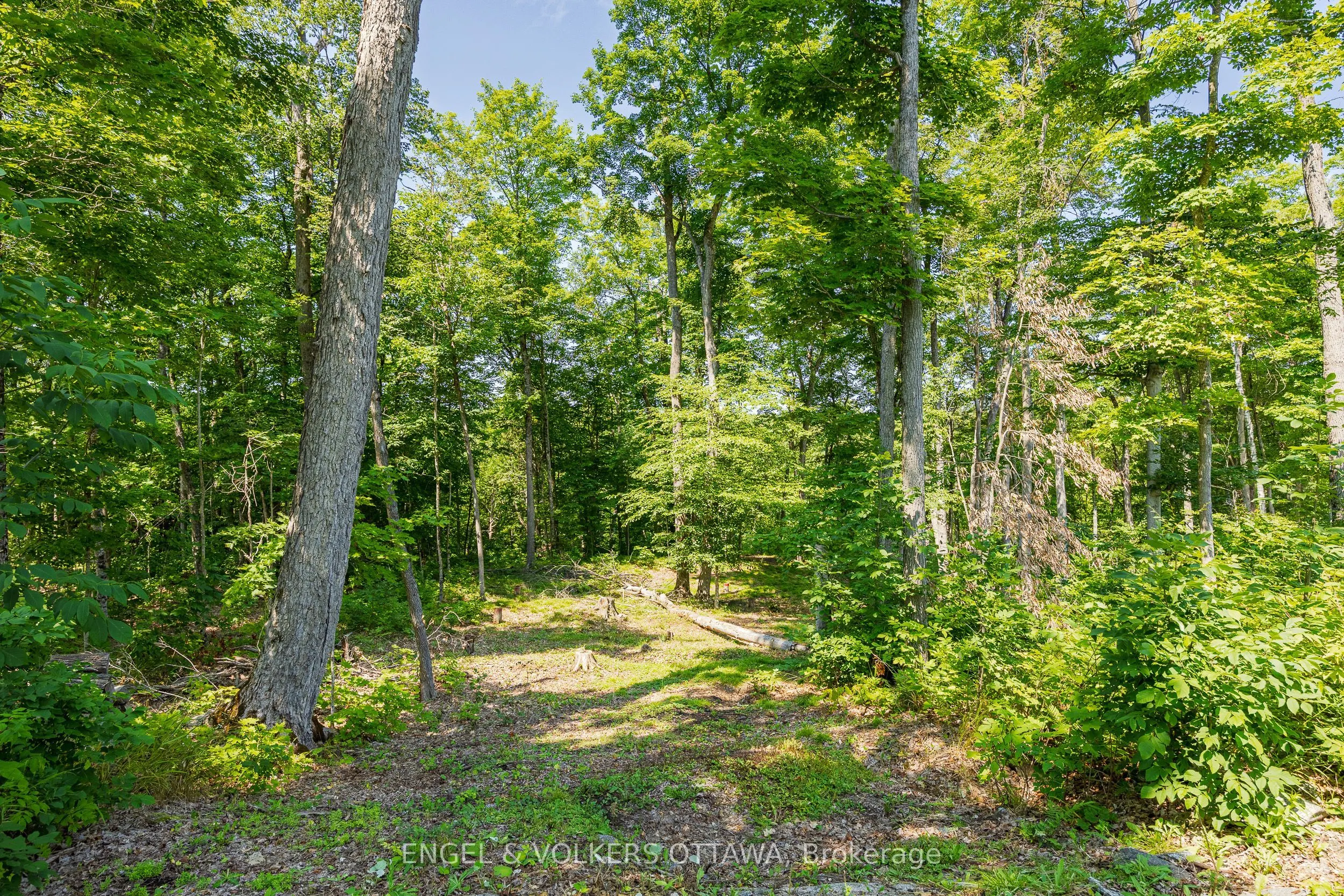 223 Shady Maple Road