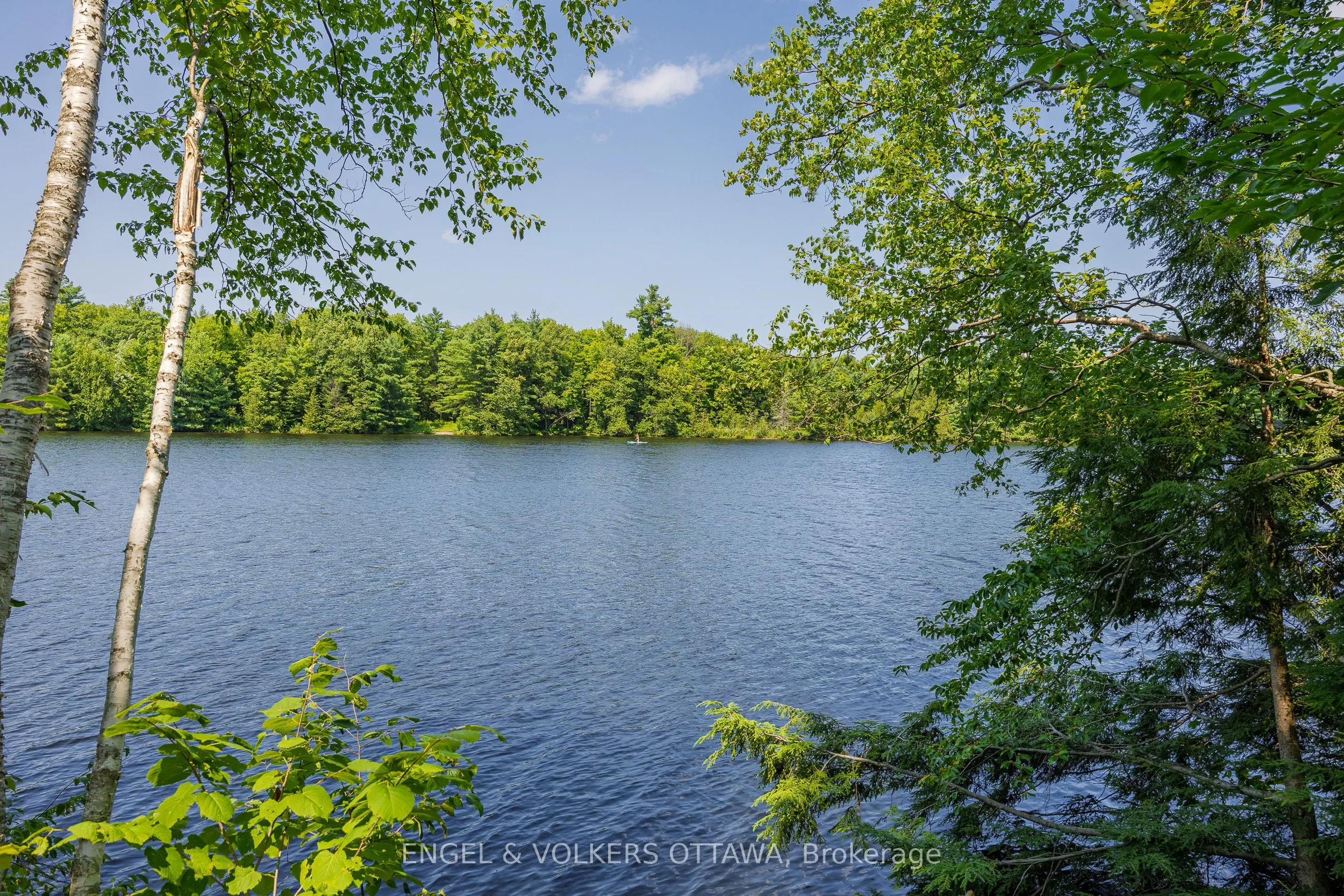 223 Shady Maple Road