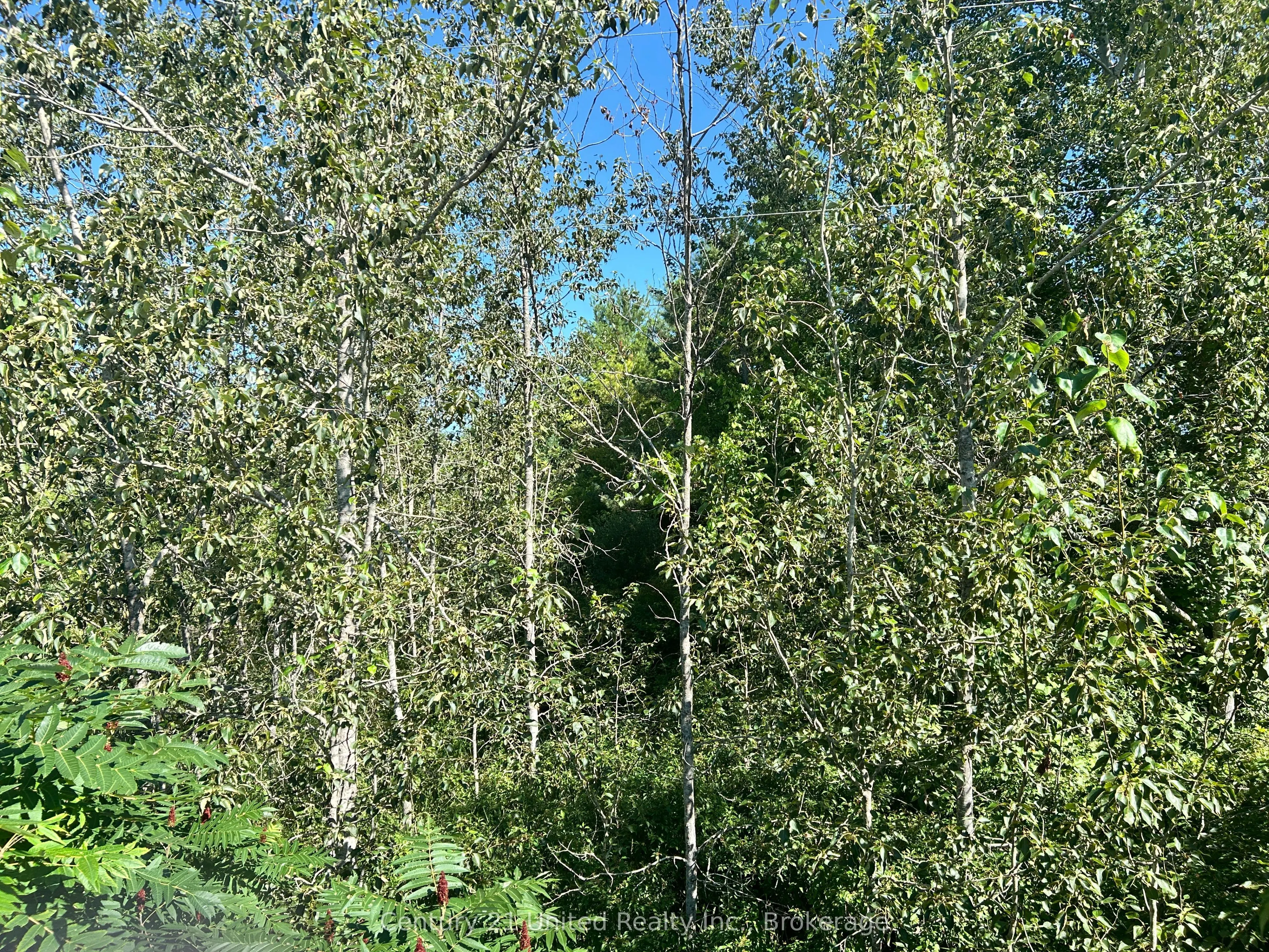 0 Concession Rd 4 W