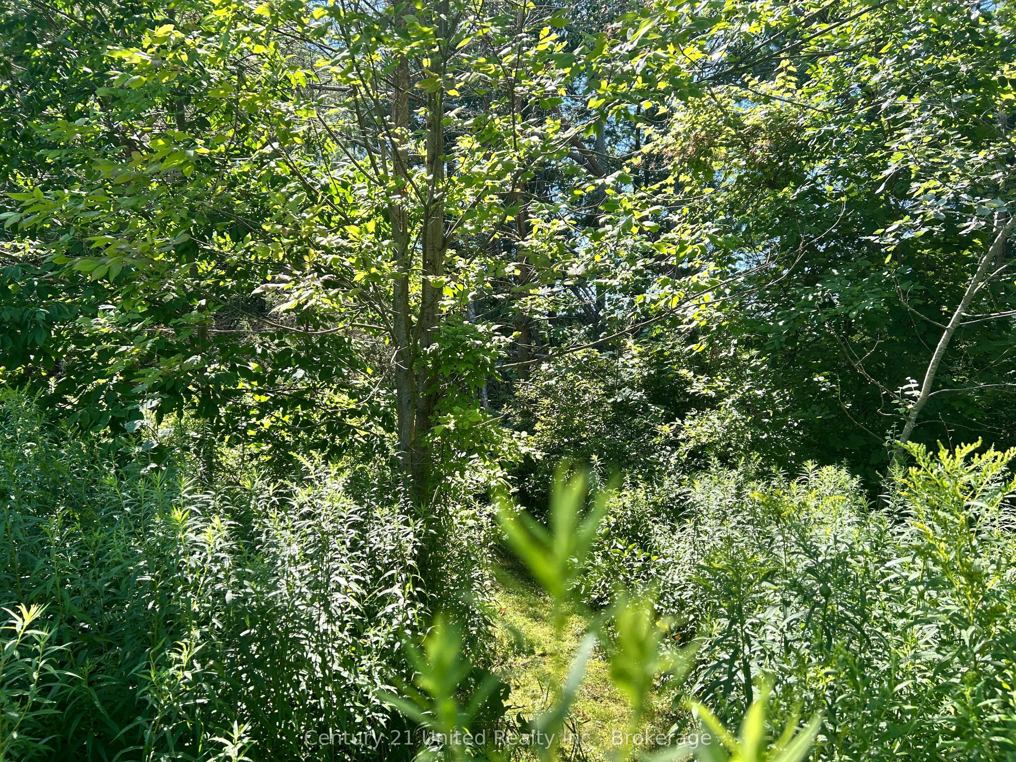 0 Concession Rd 4 W