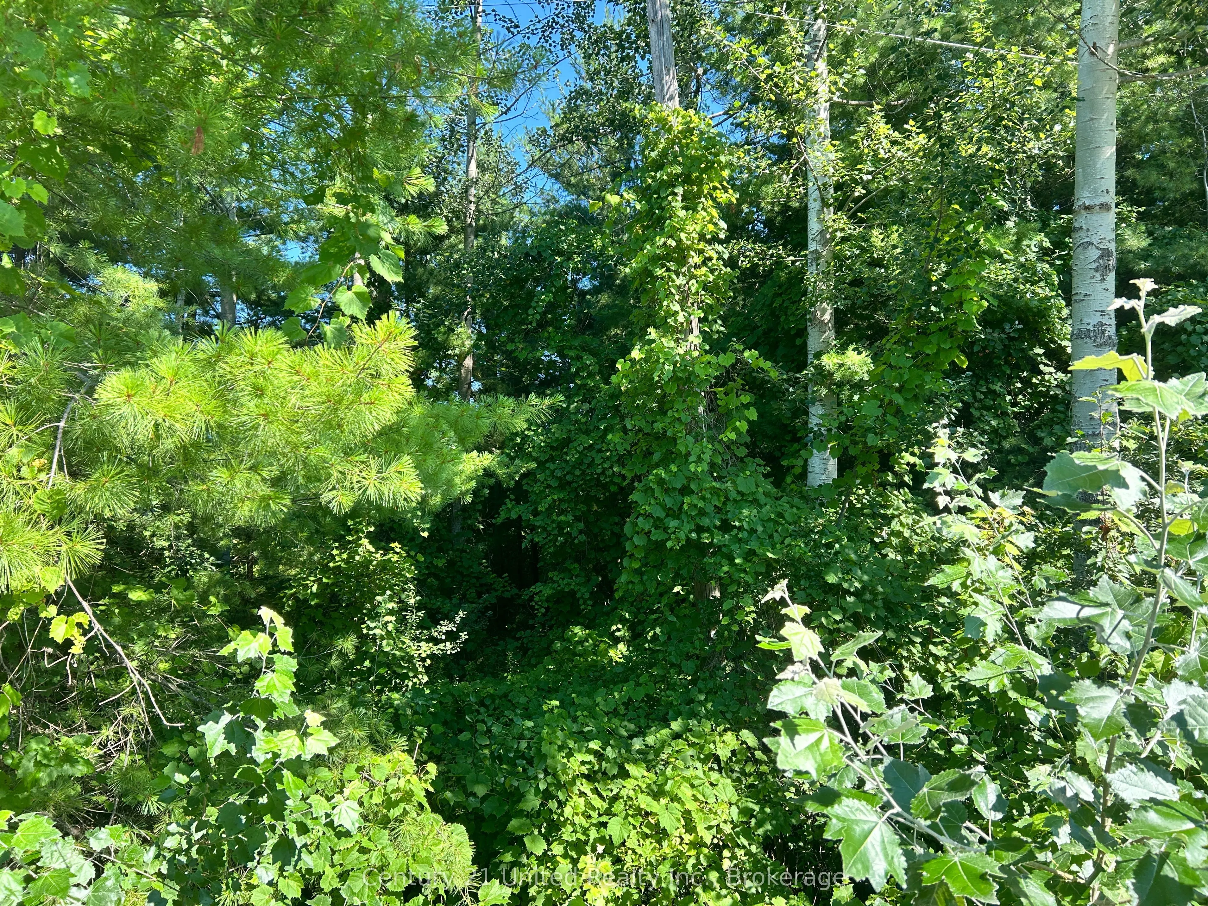 0 Concession Rd 4 W