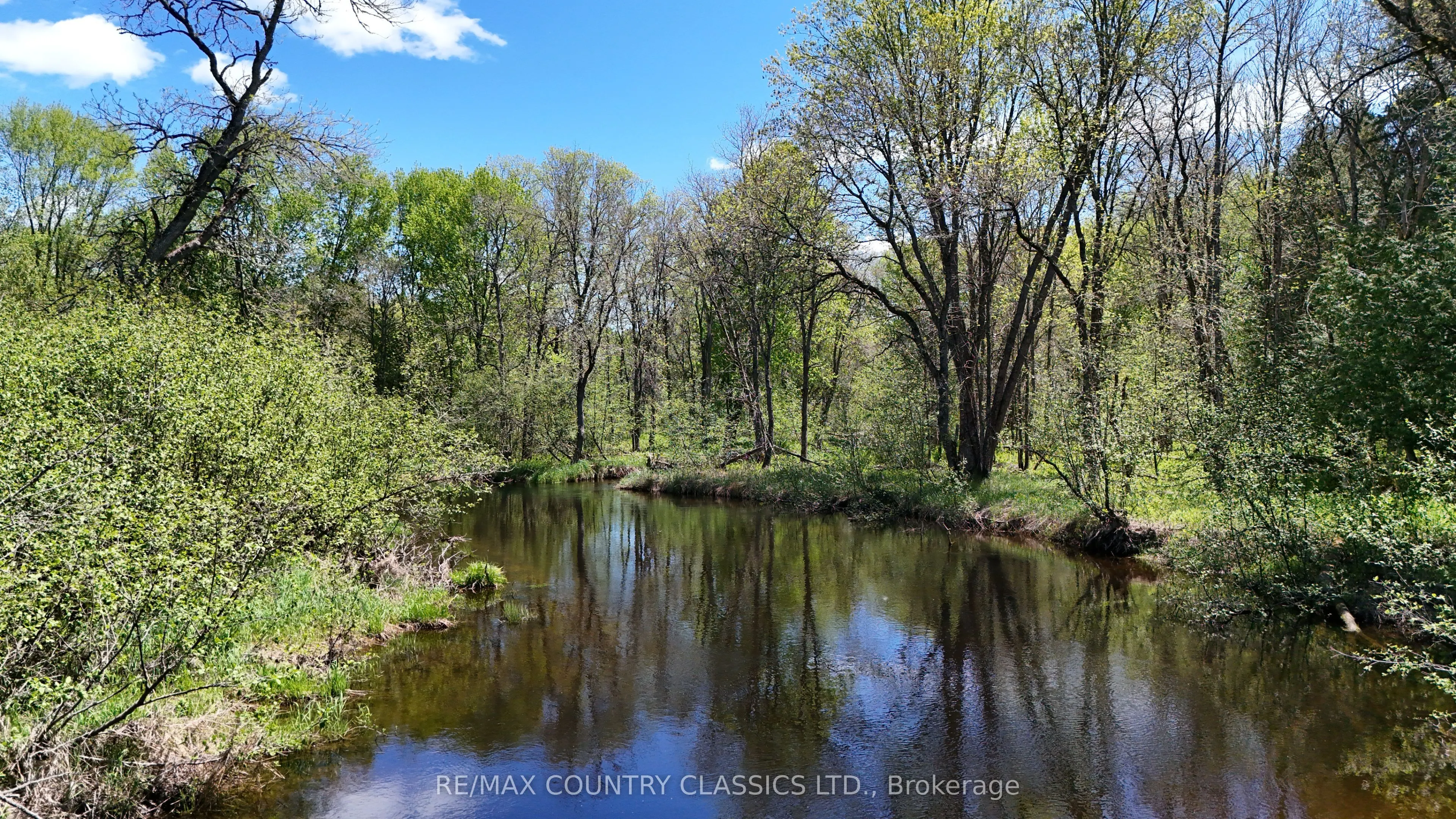 529 Mayo Lake Road
