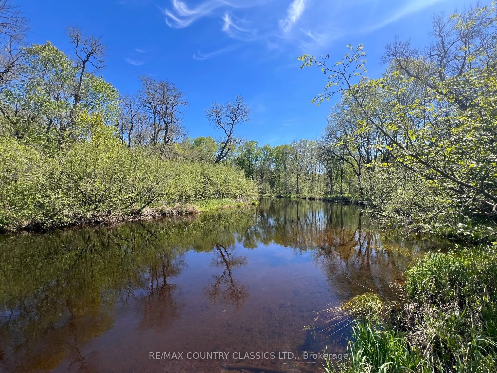 529 Mayo Lake Road