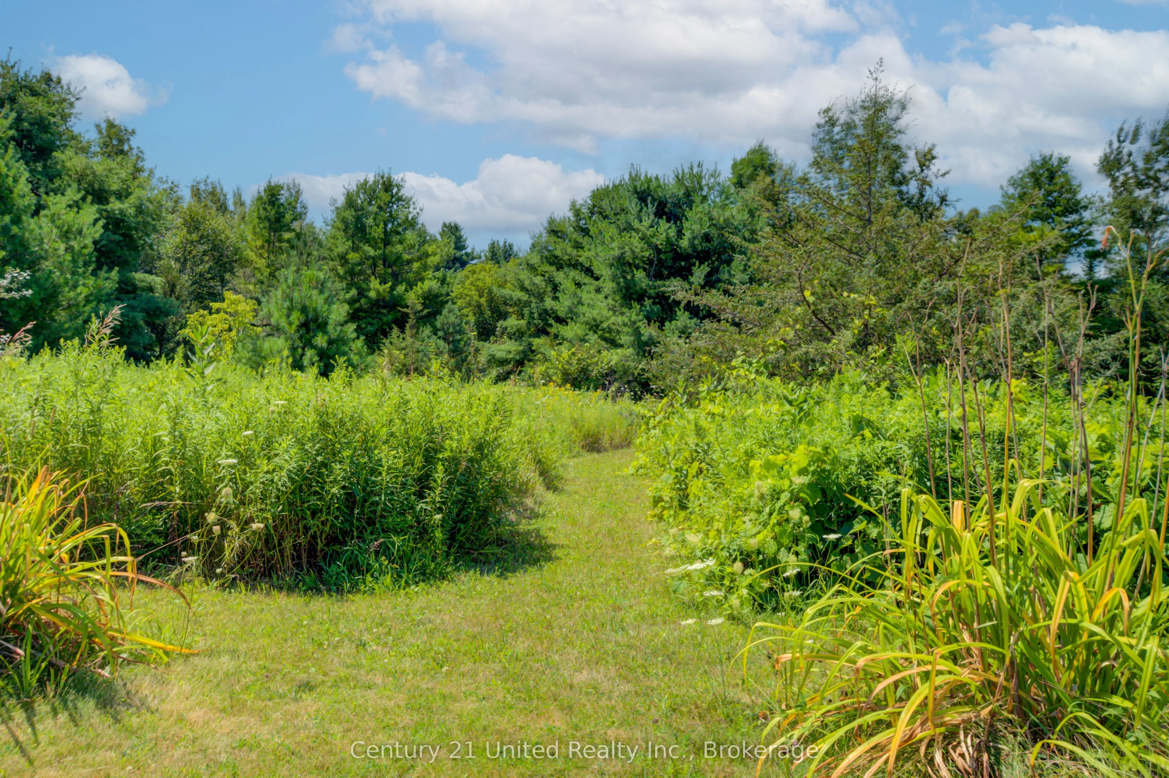 5046 County Road 25
