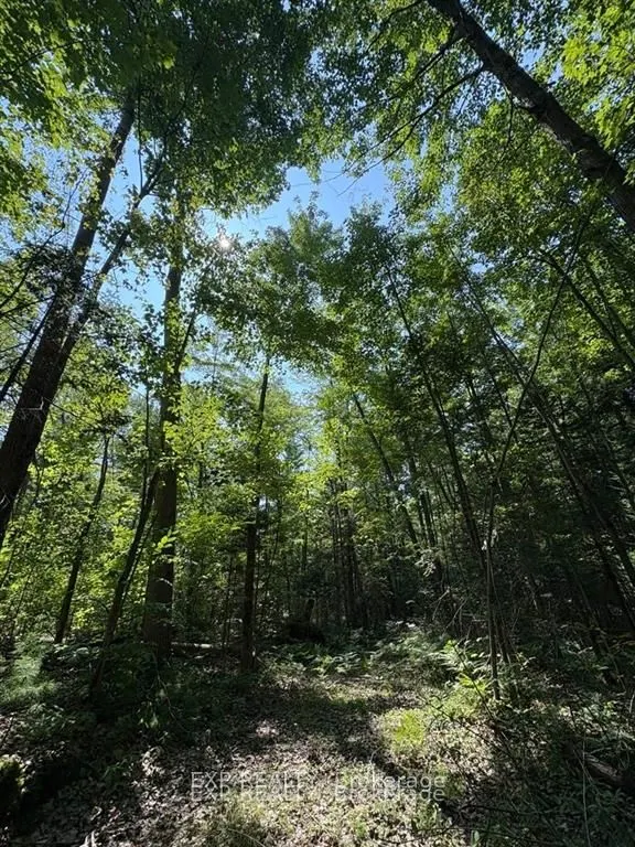 1 Lot 1 Concession 2 Part 4 Boundary Concession