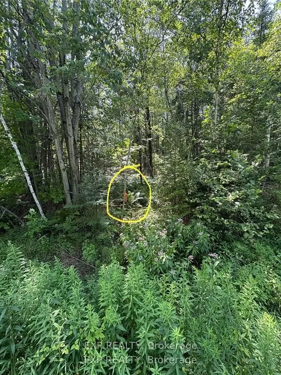 1 Lot 1 Concession 2 Part 4 Boundary Concession