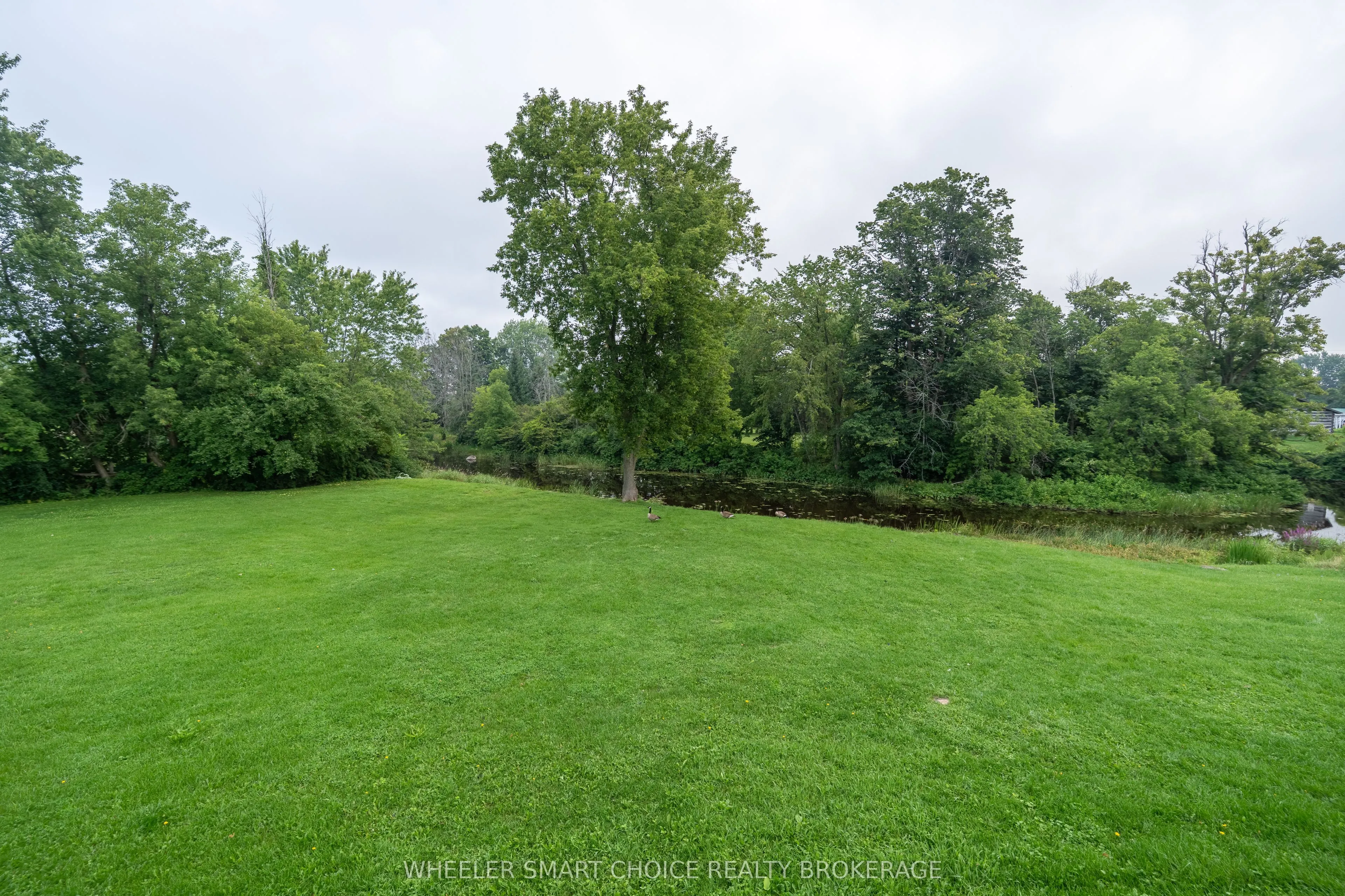 17295 County Rd 18 Road