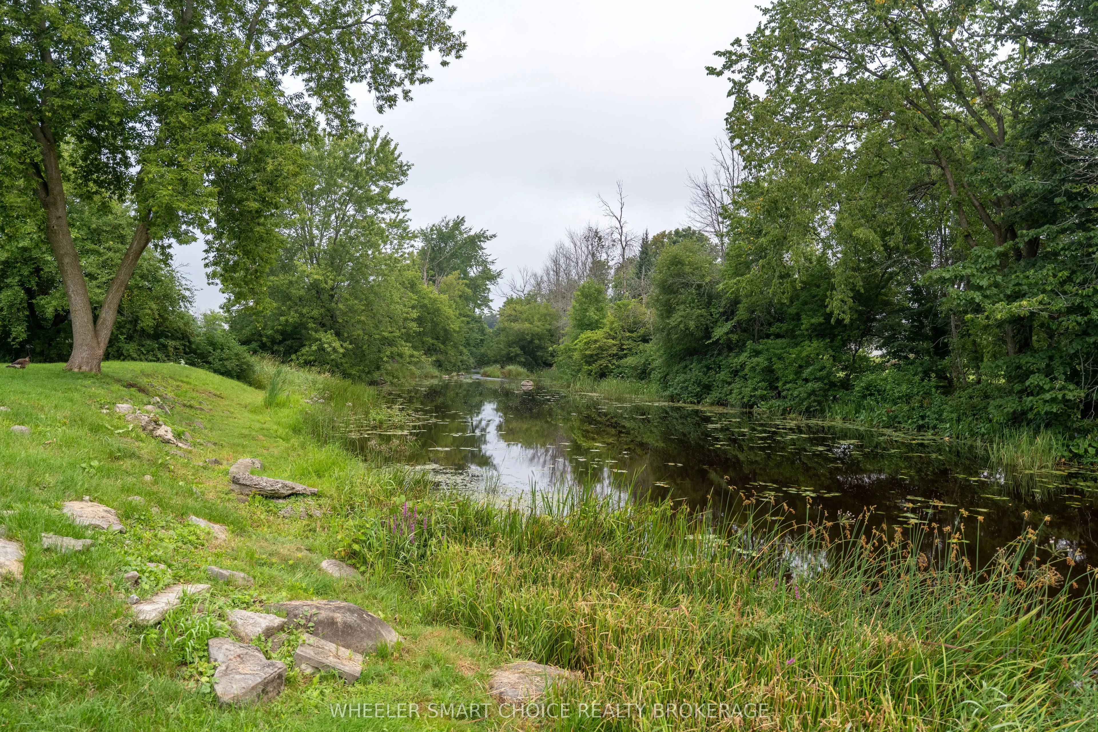 17295 County Rd 18 Road