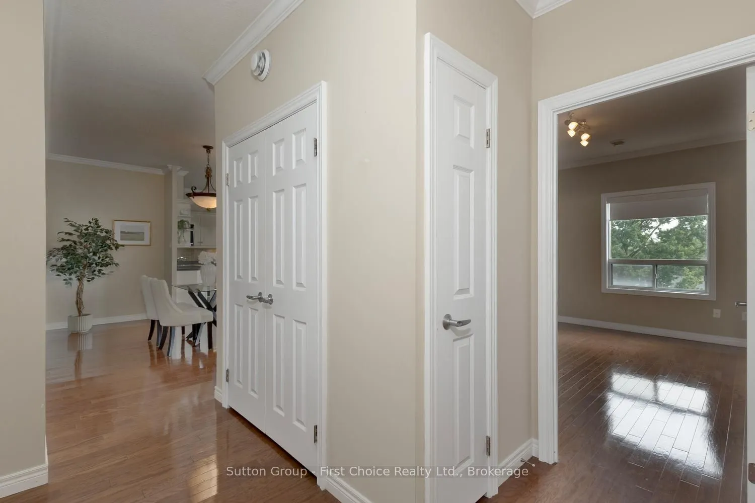 160 Romeo Street #504
