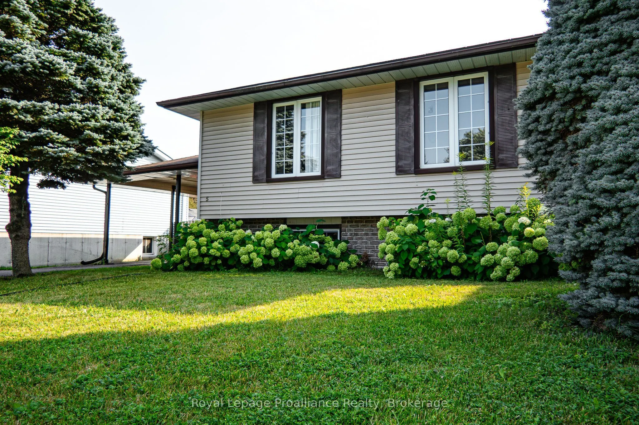 5 Van Alstine Drive