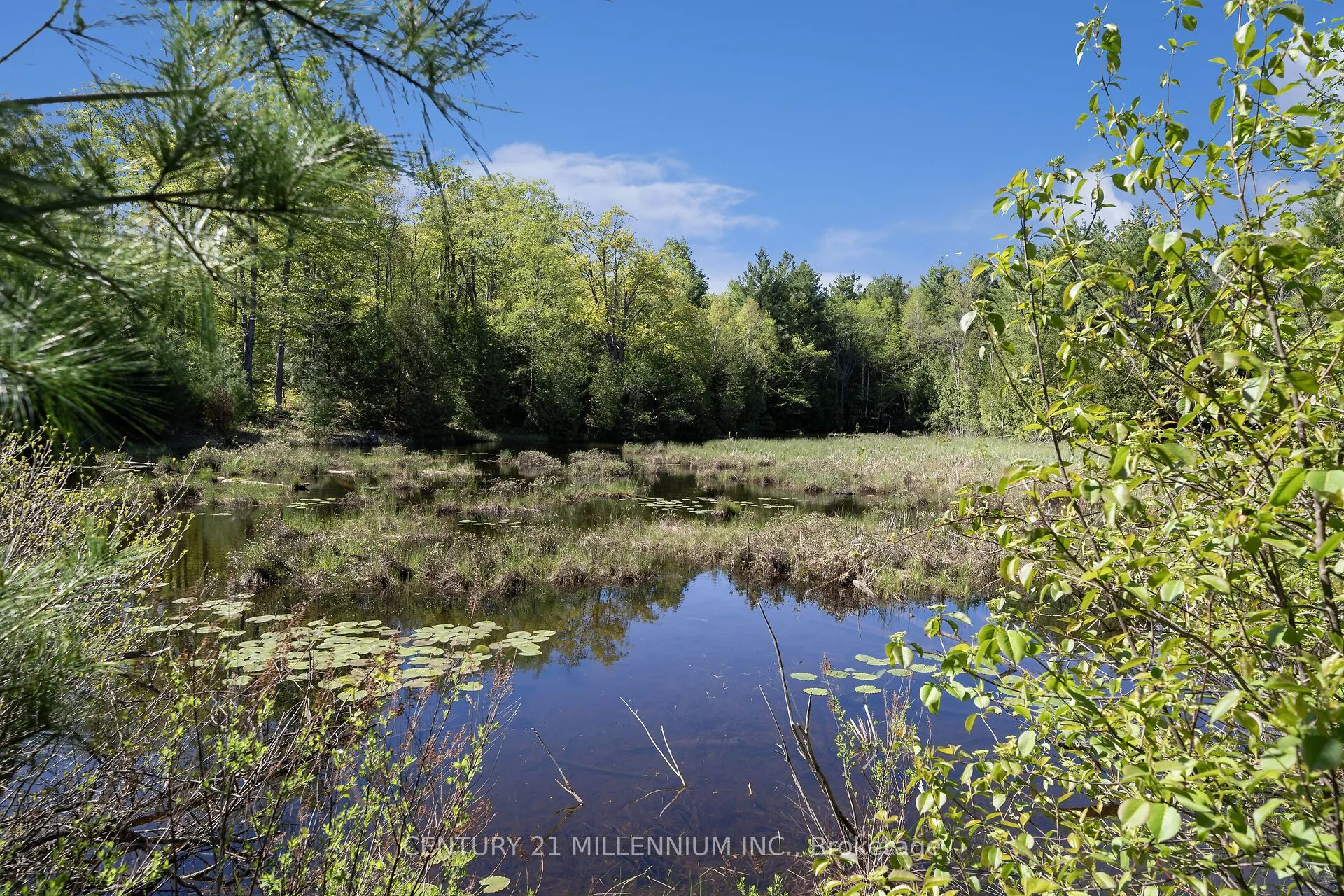 5204 Ninth Line