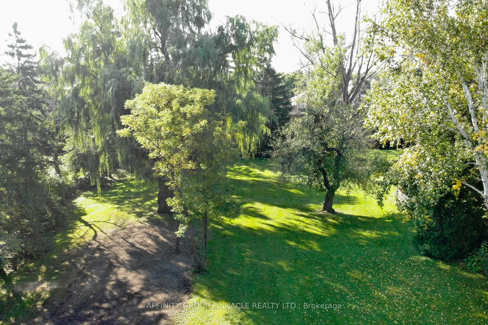 21 David Drive