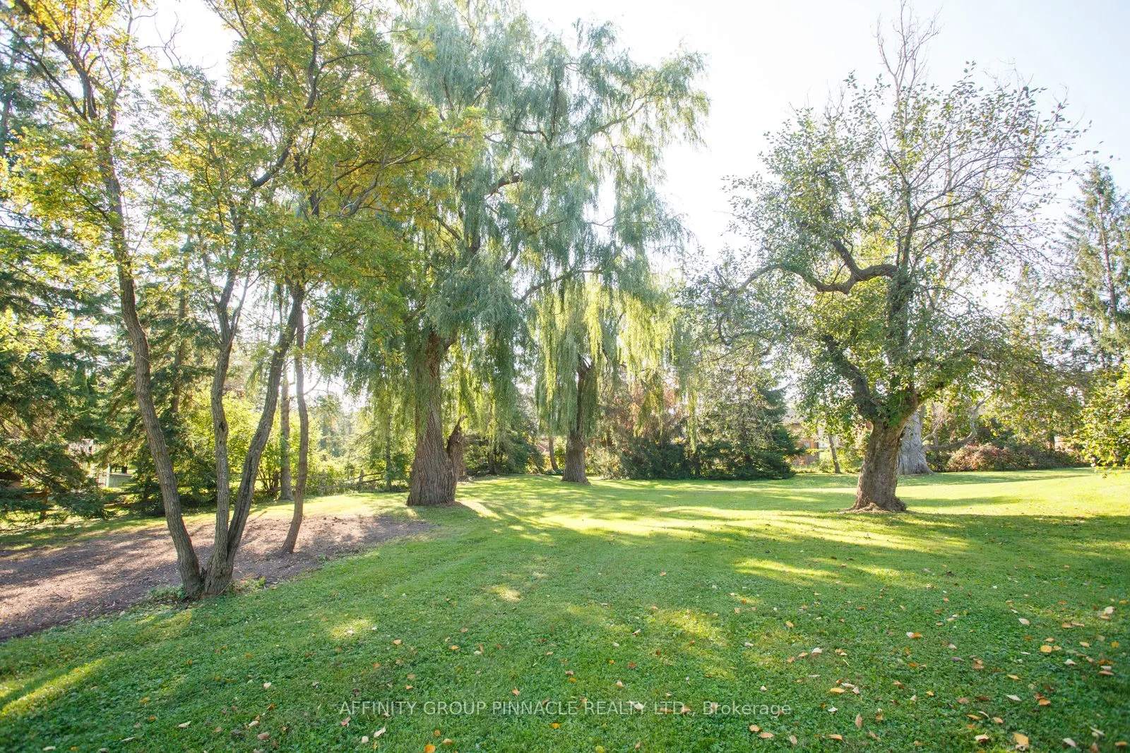 21 David Drive