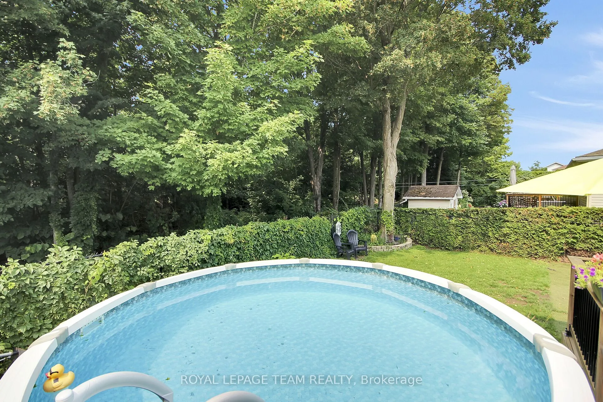 36 Steggall Crescent