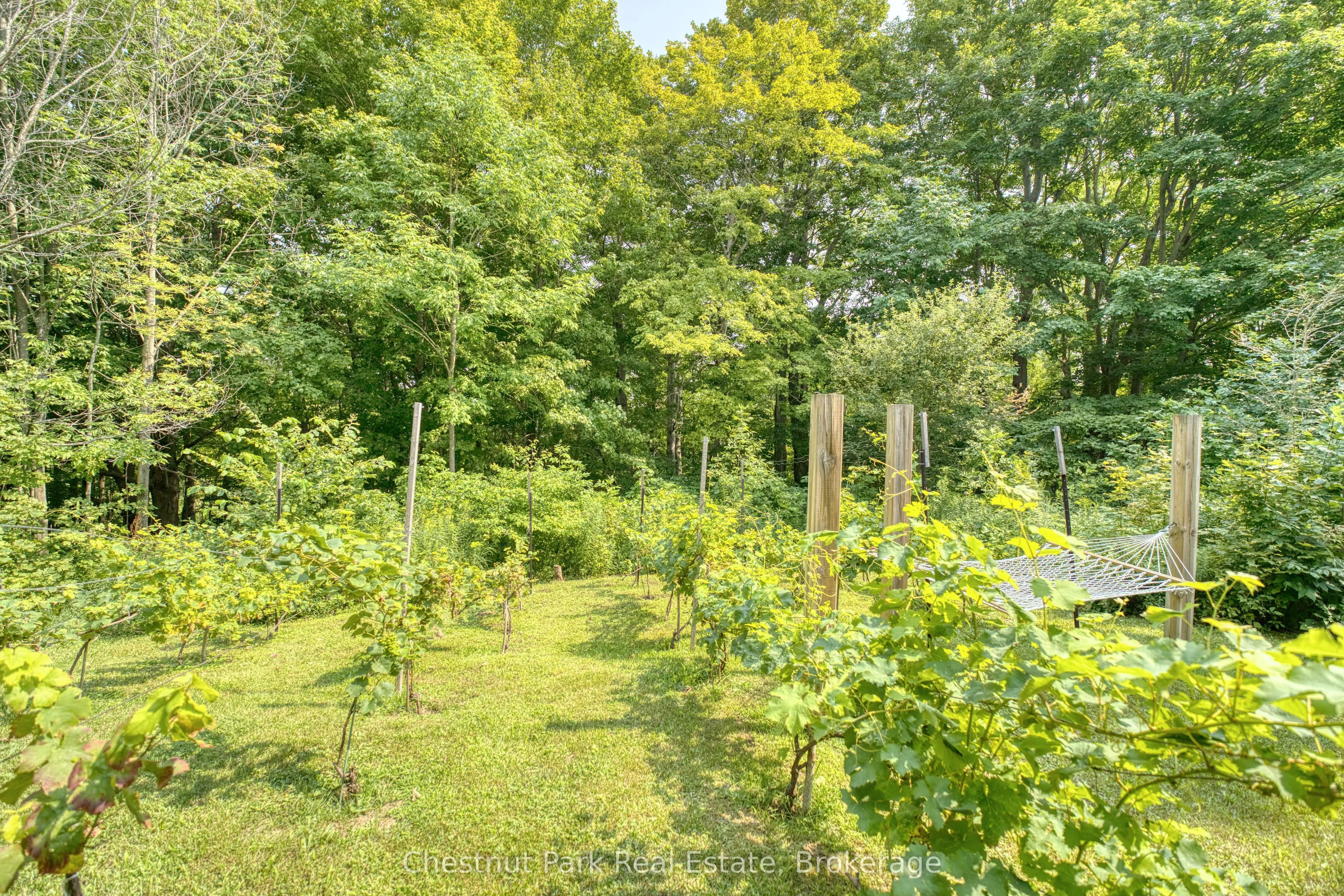 76 Everett Road