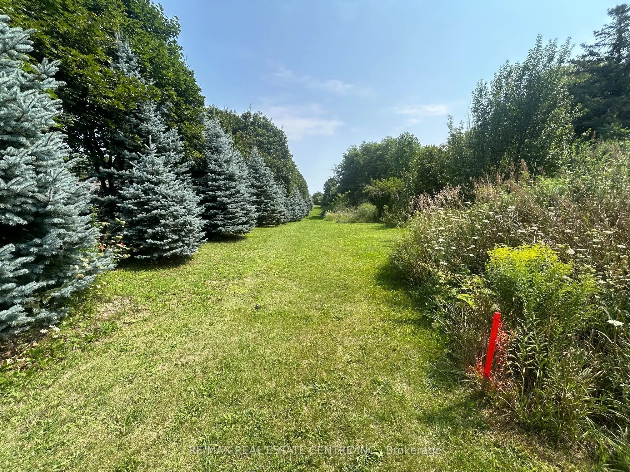 0 20 Sideroad N