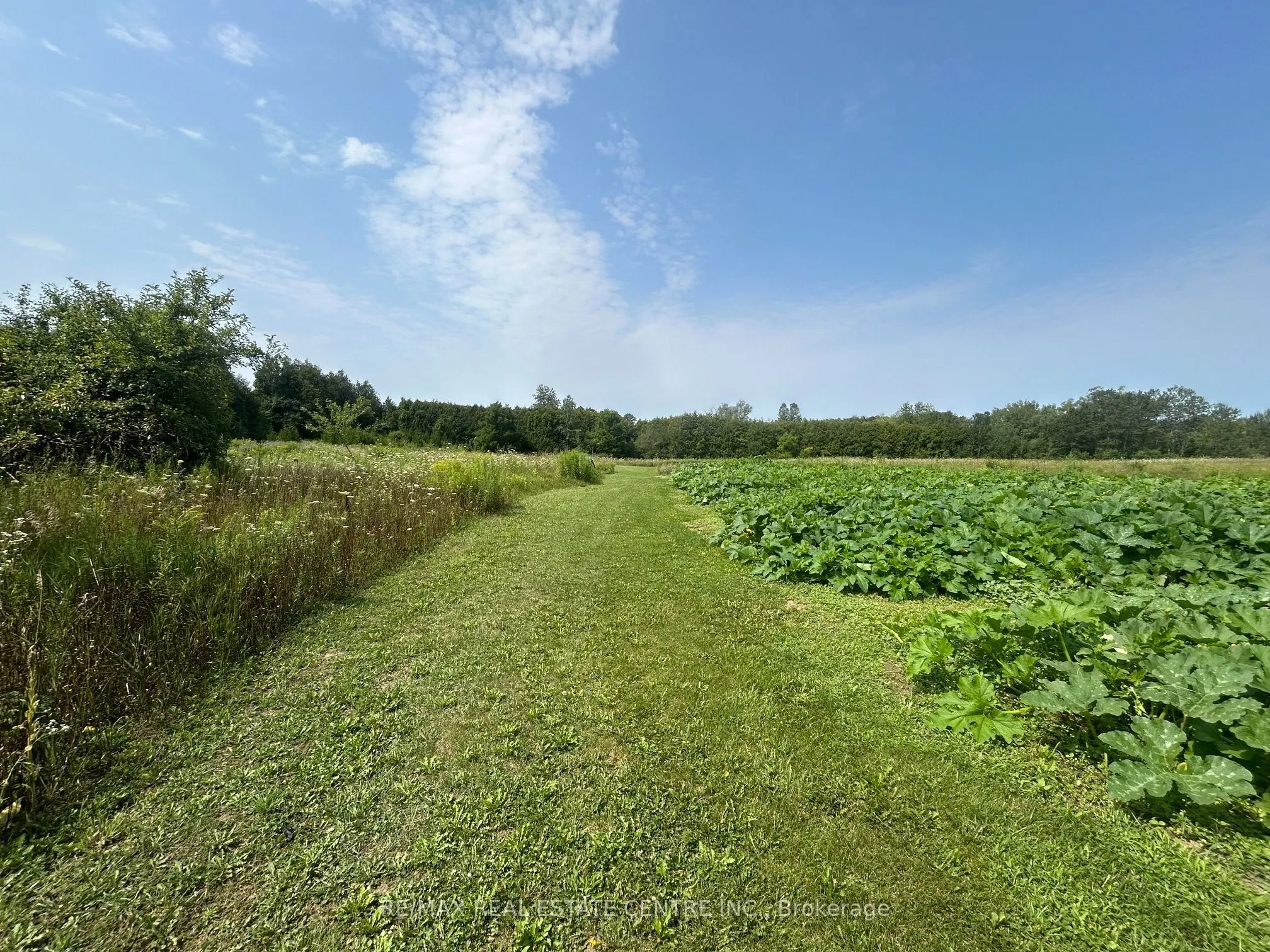0 20 Sideroad N