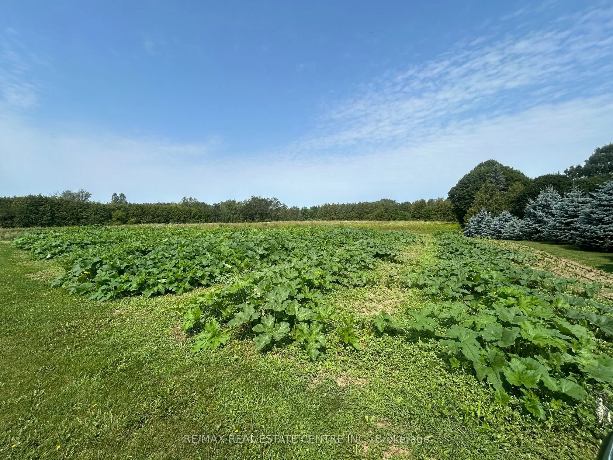 0 20 Sideroad N