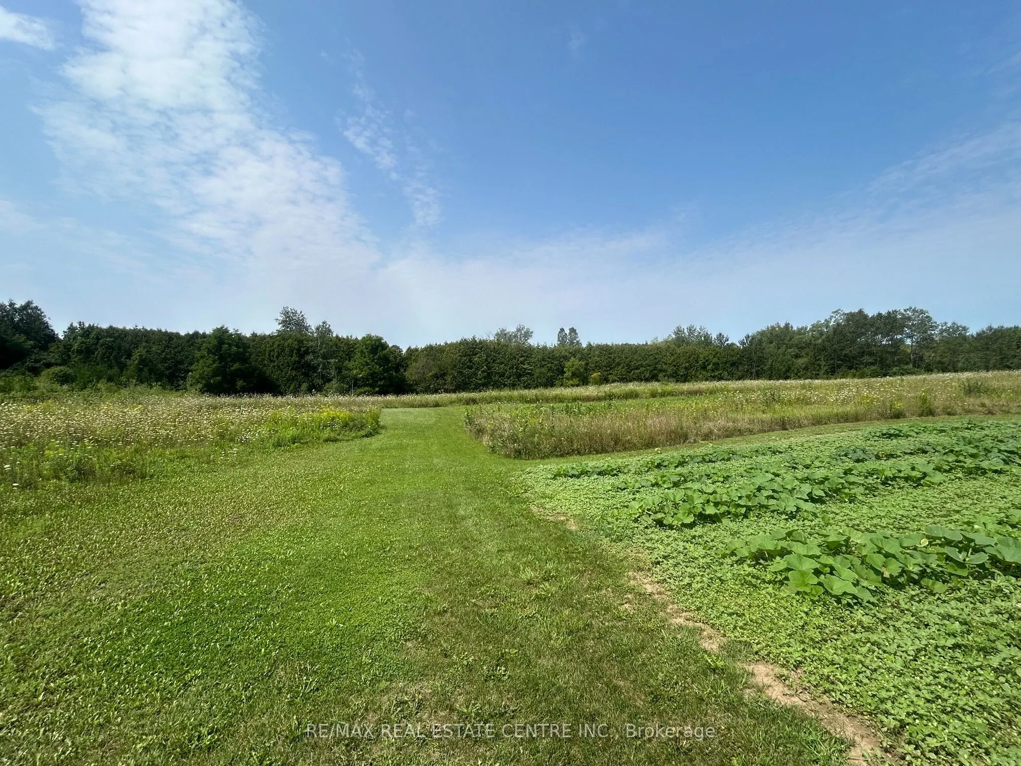 0 20 Sideroad N
