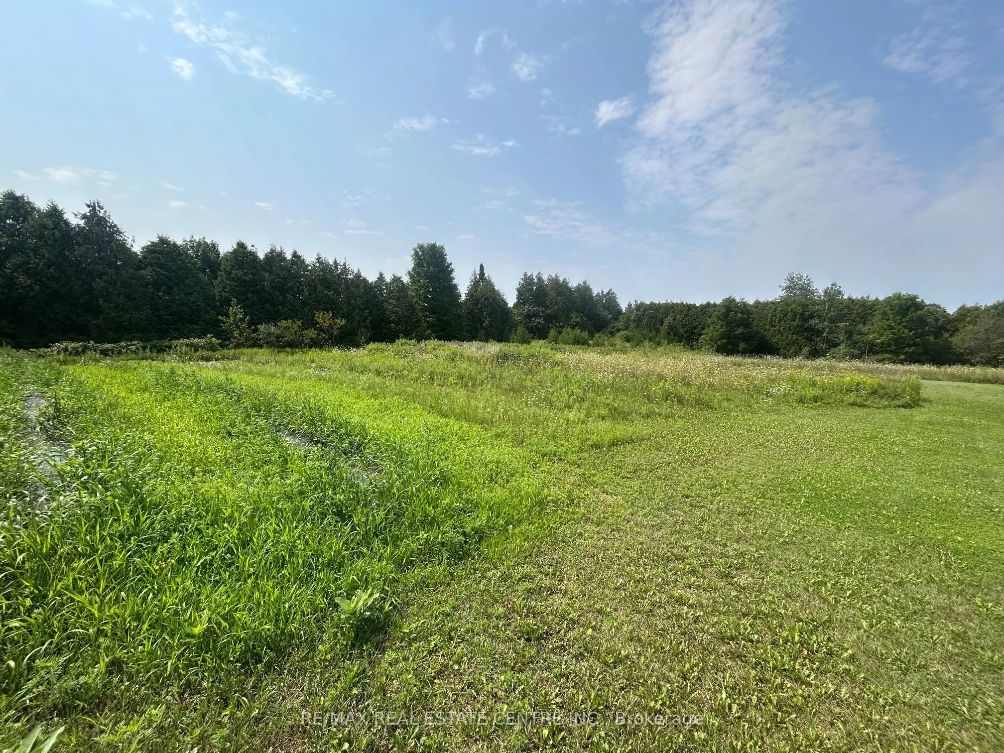 0 20 Sideroad N