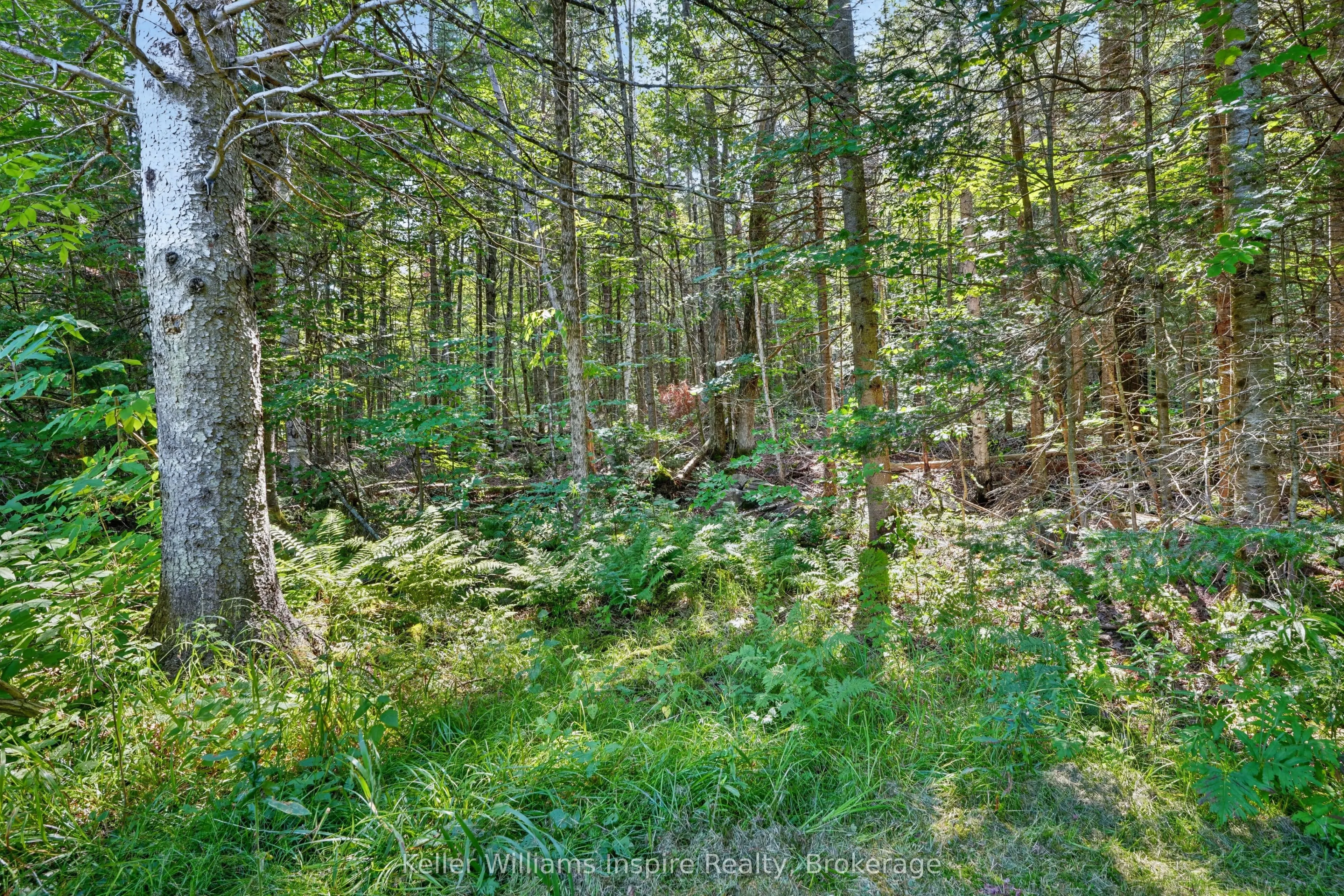 3044 LOOP Road