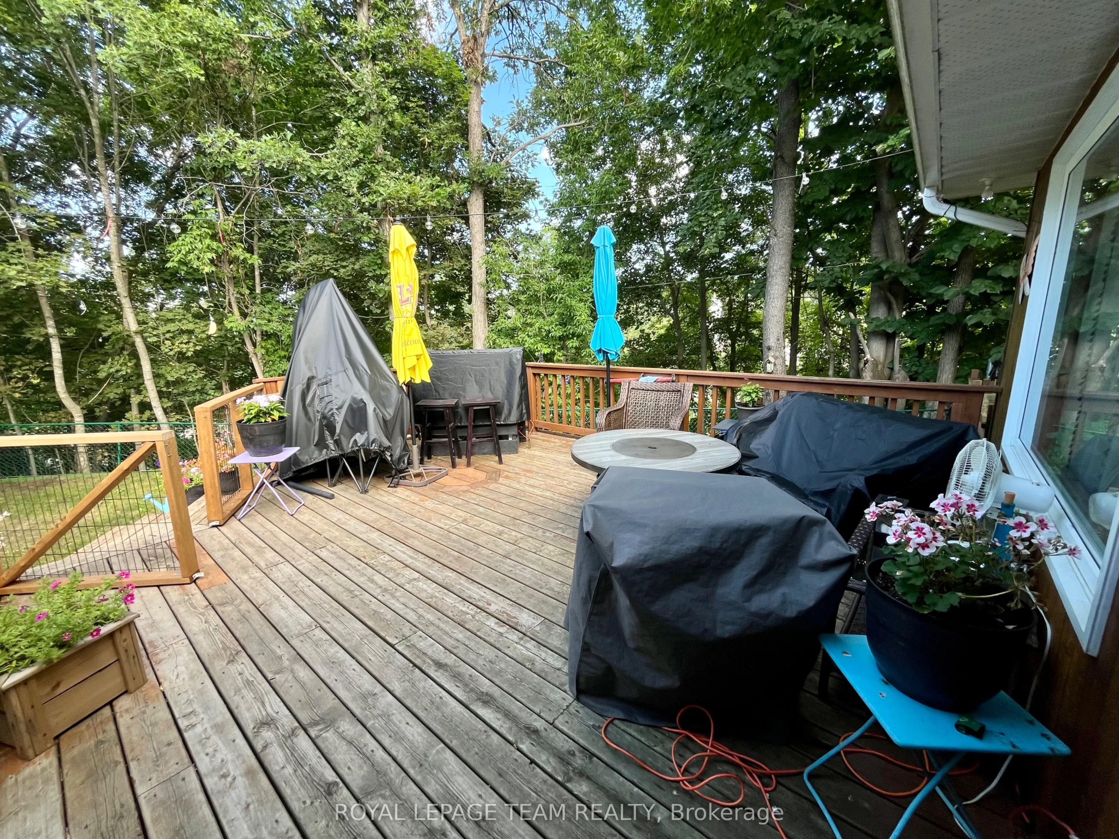 177 Arthur Avenue