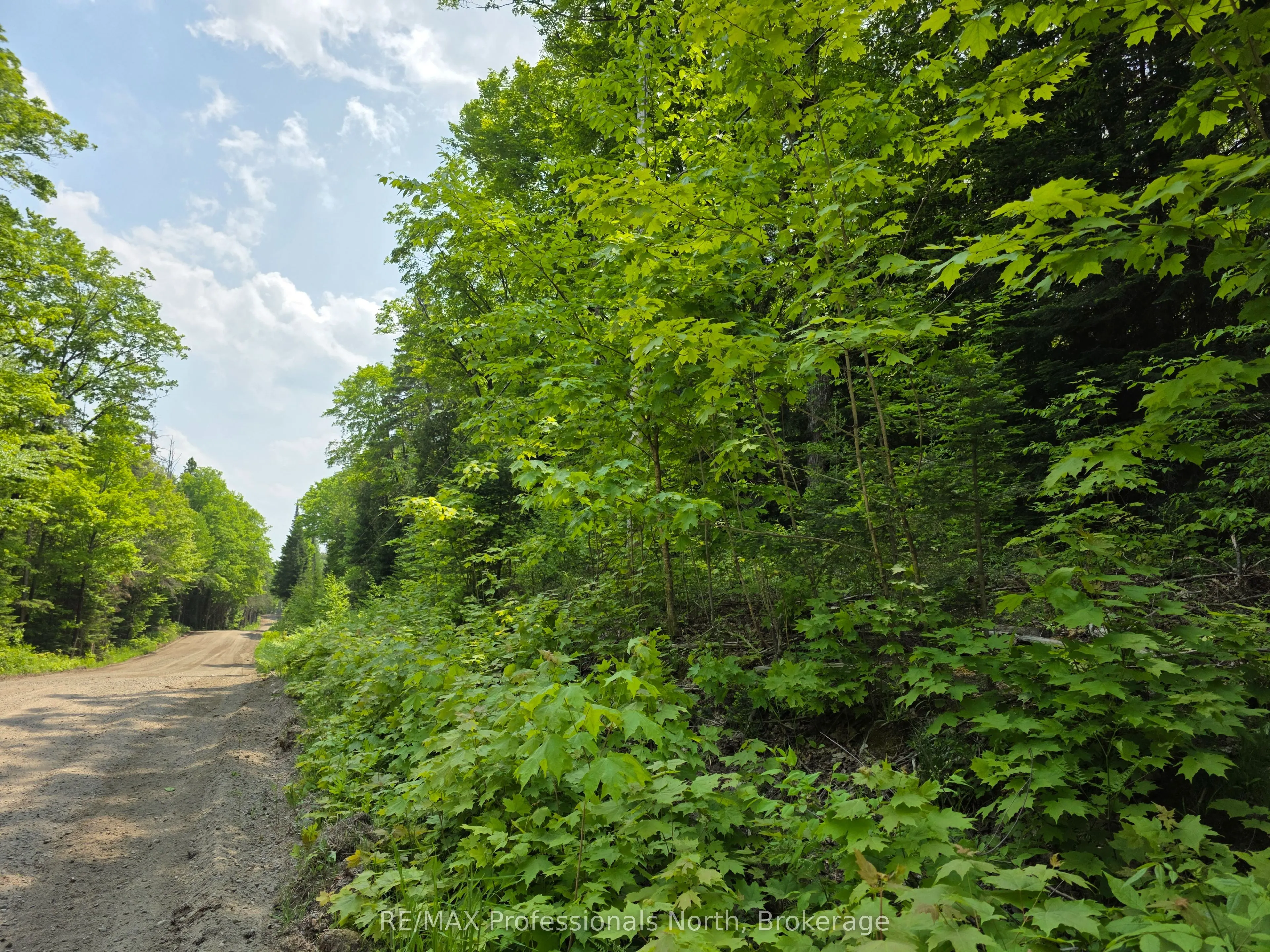0 Buckslide Road