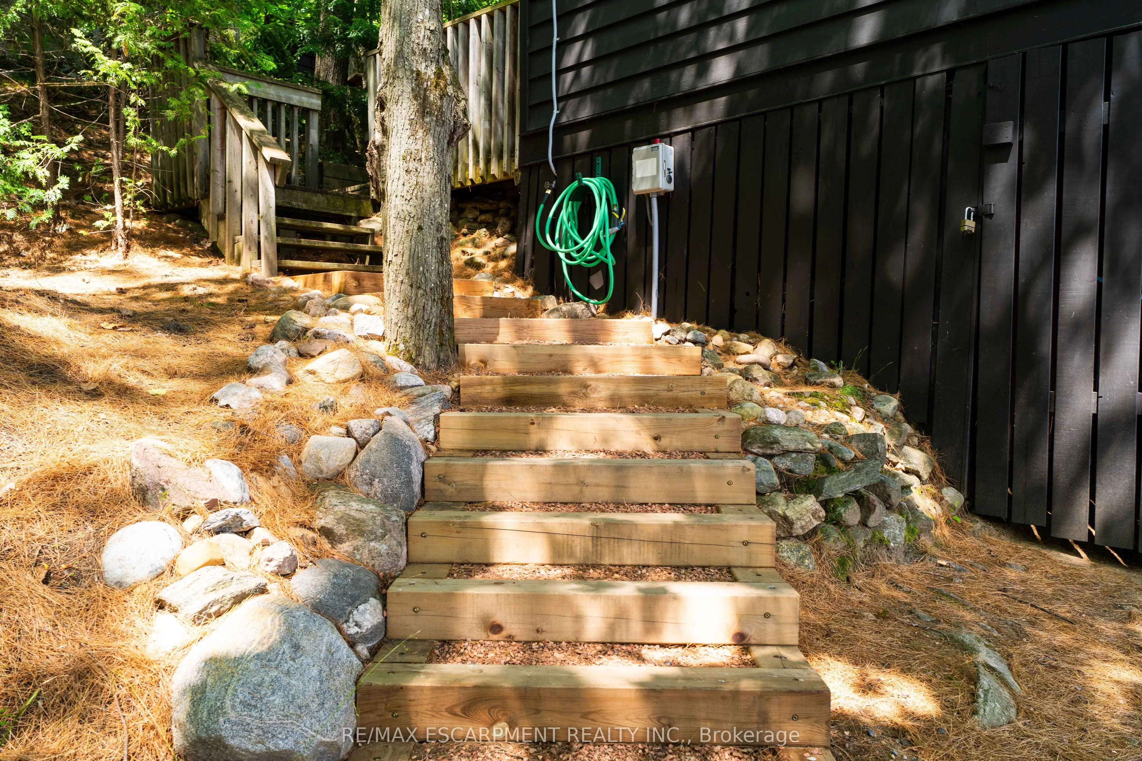 1009 Fogo Street