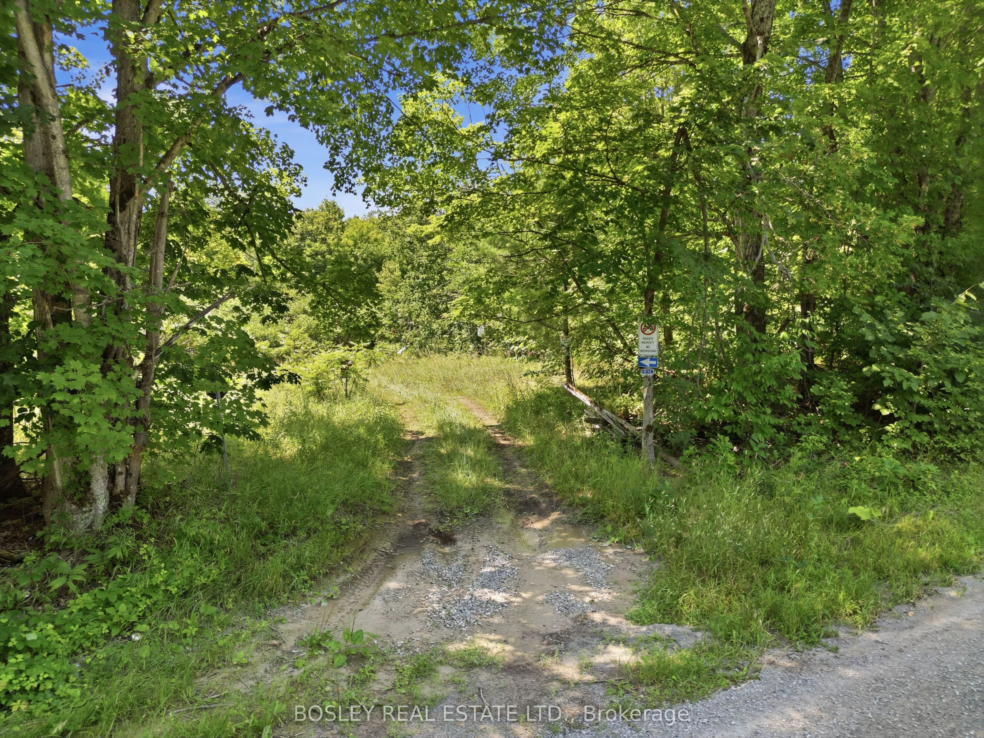 11 Buttermilk Lane