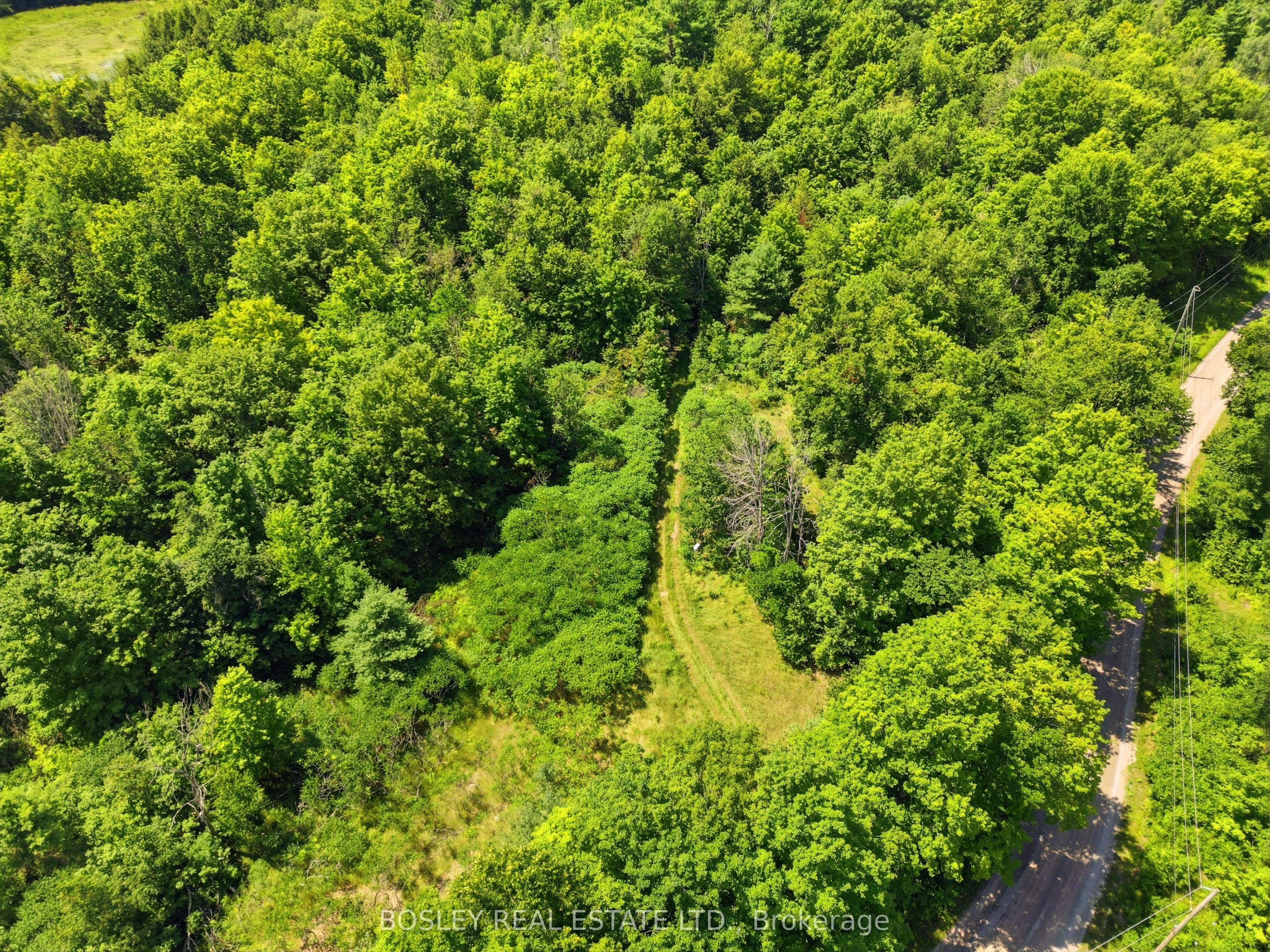 11 Buttermilk Lane