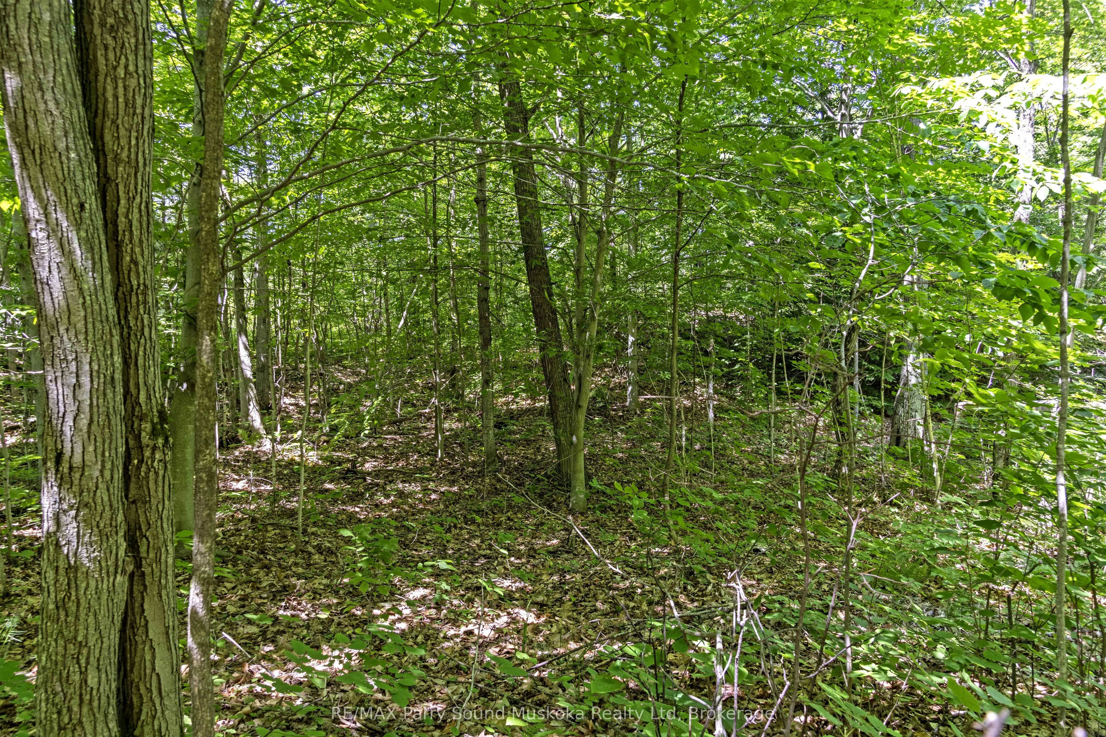 38 Fun Cottage Lane