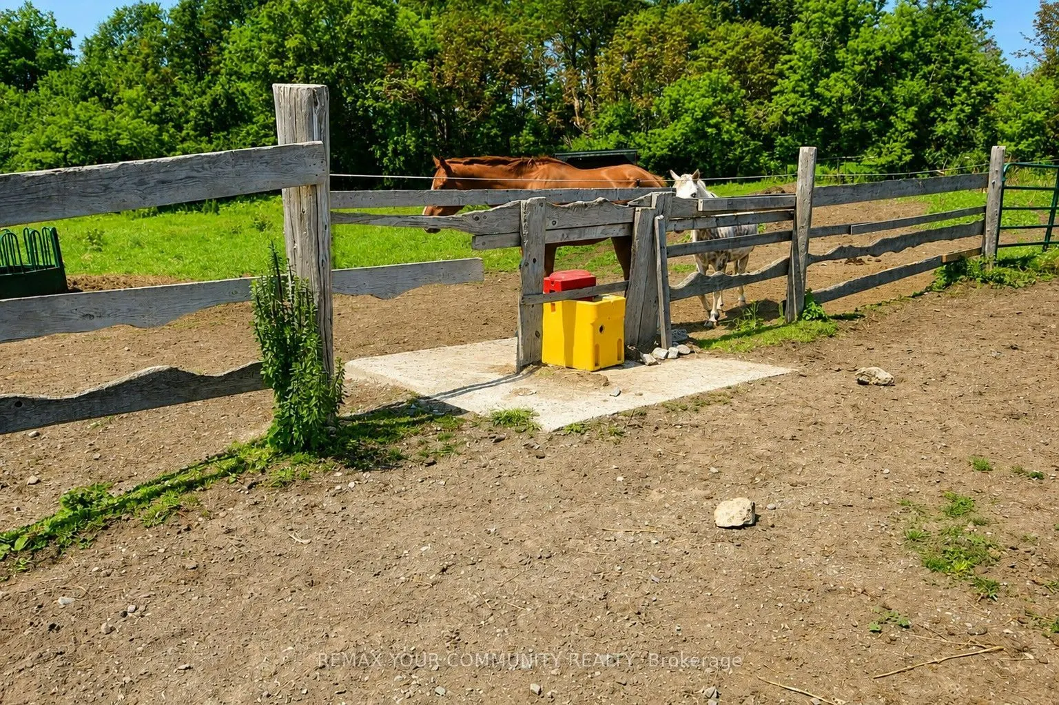 11 Mud Road
