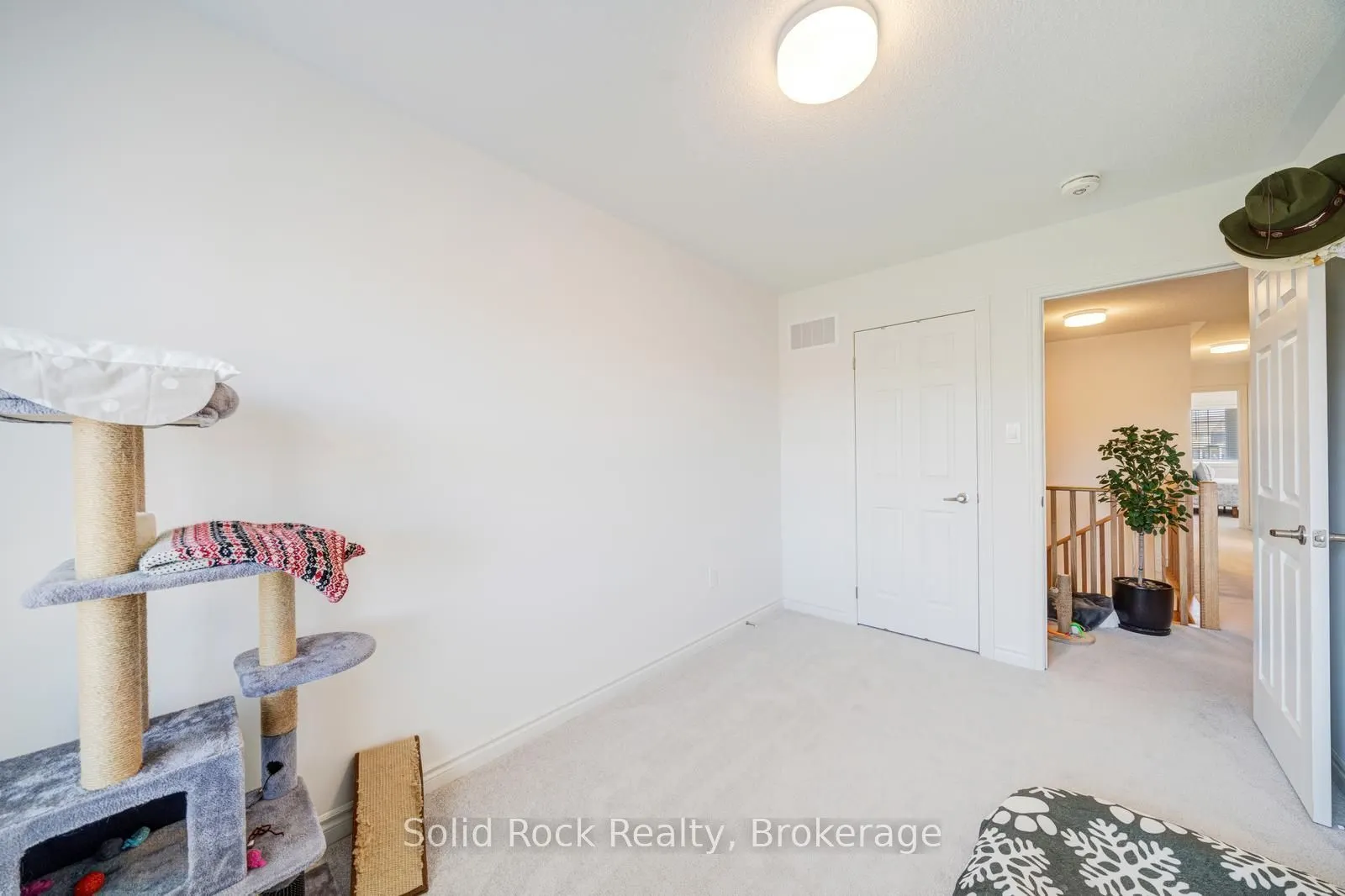 415 Trevor Street