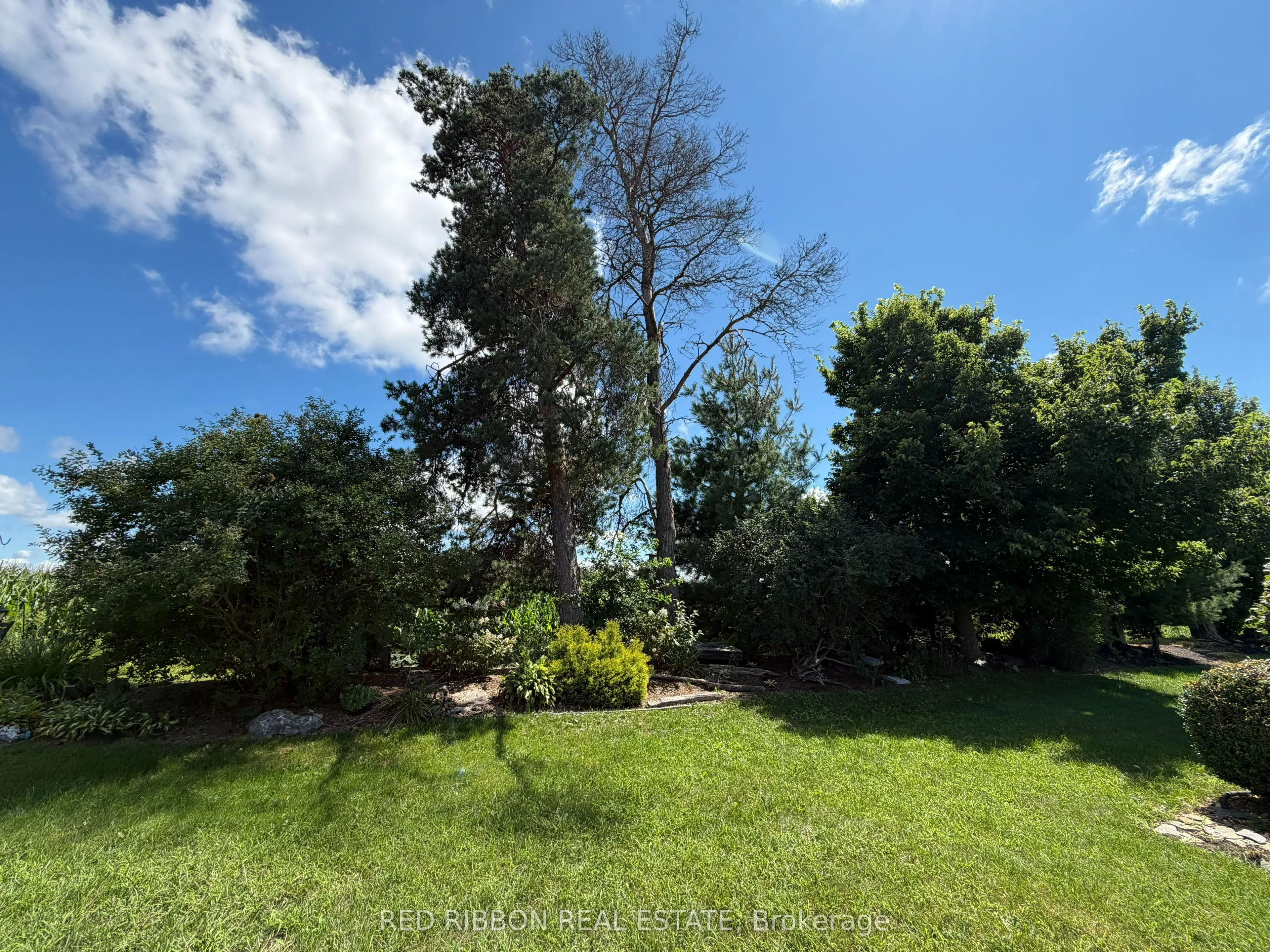 16 Velma Street