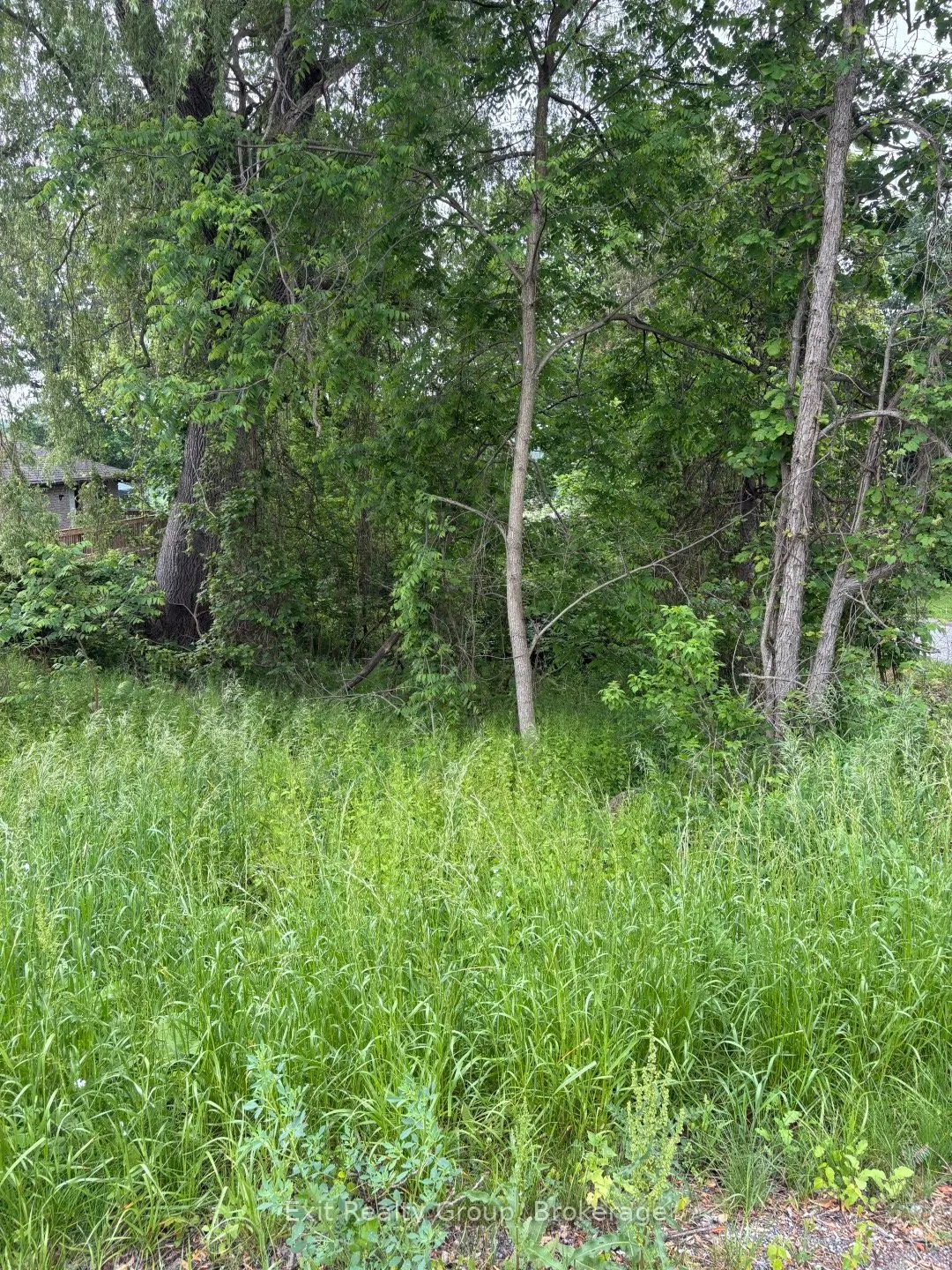 00 County Rd 5