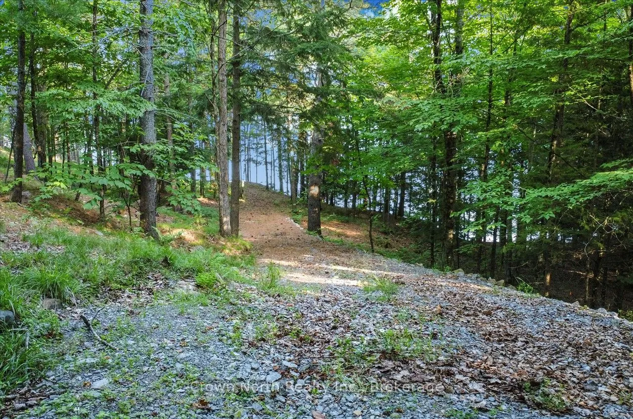 111 Gazelle Trail