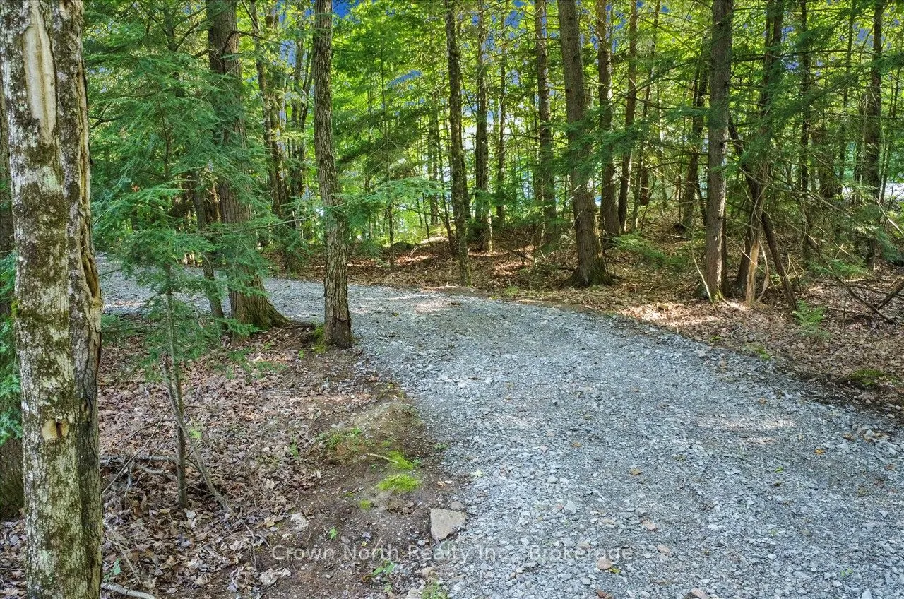 111 Gazelle Trail