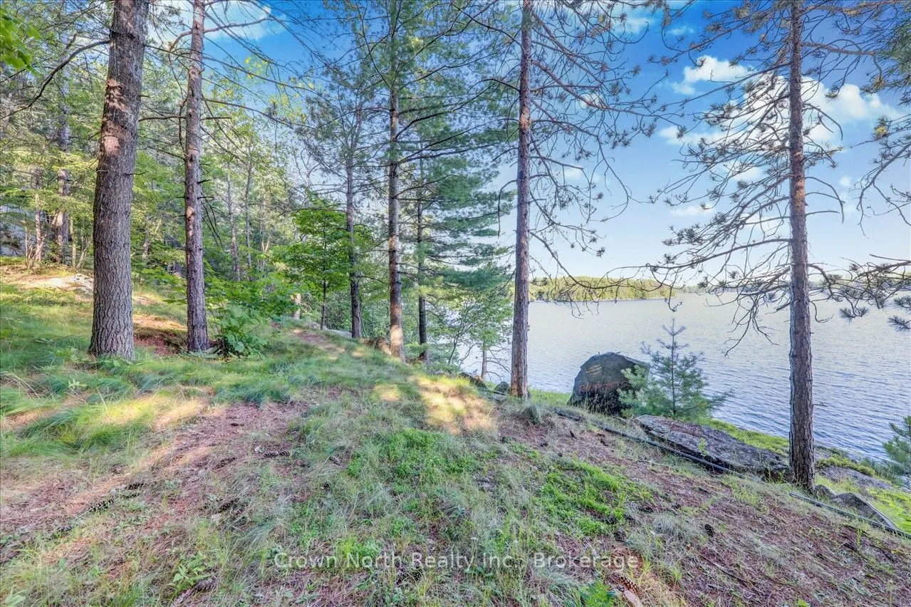 111 Gazelle Trail