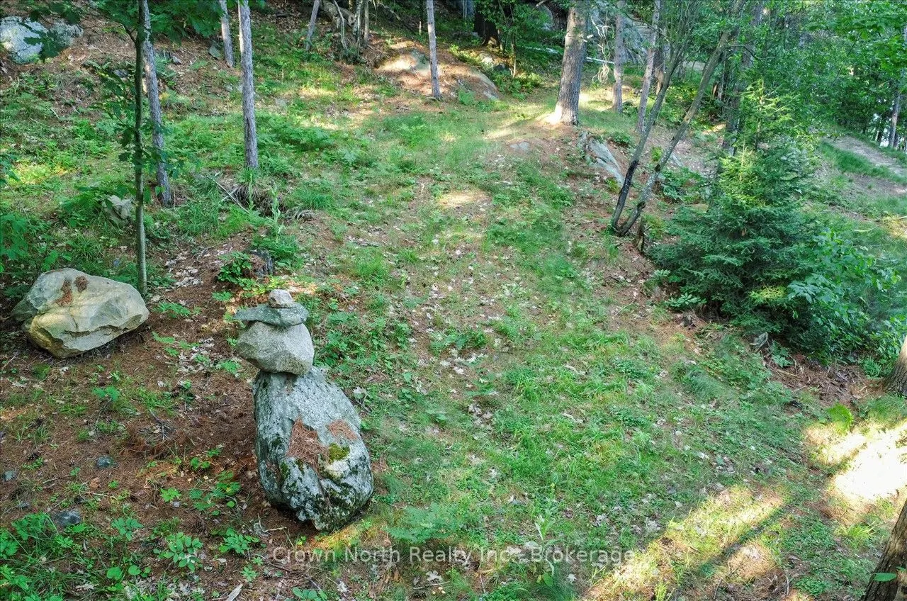 111 Gazelle Trail