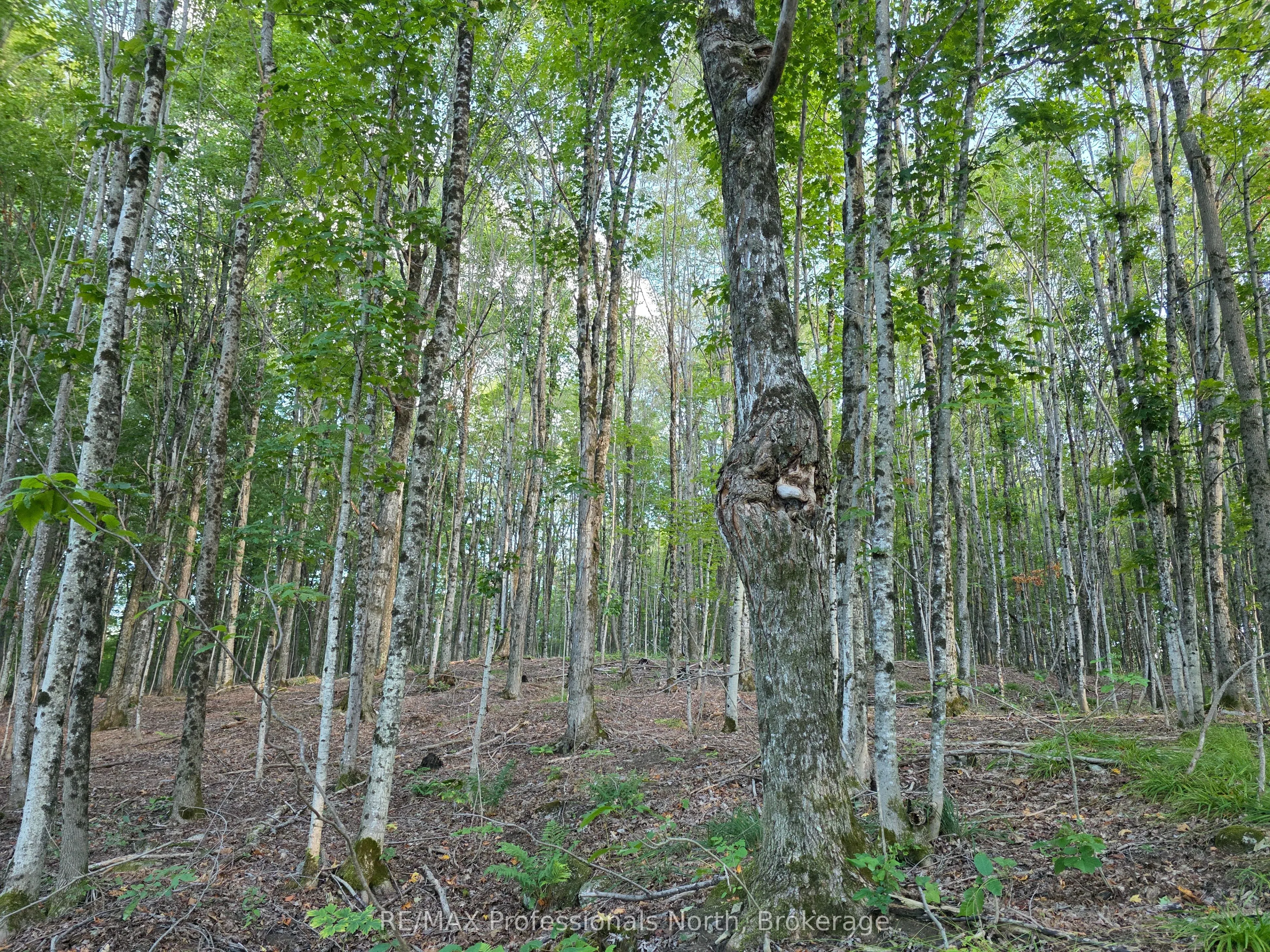 1026 Puffer Road