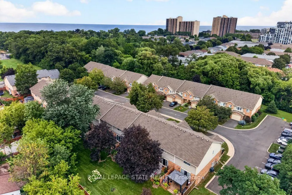44 Frances Avenue #11