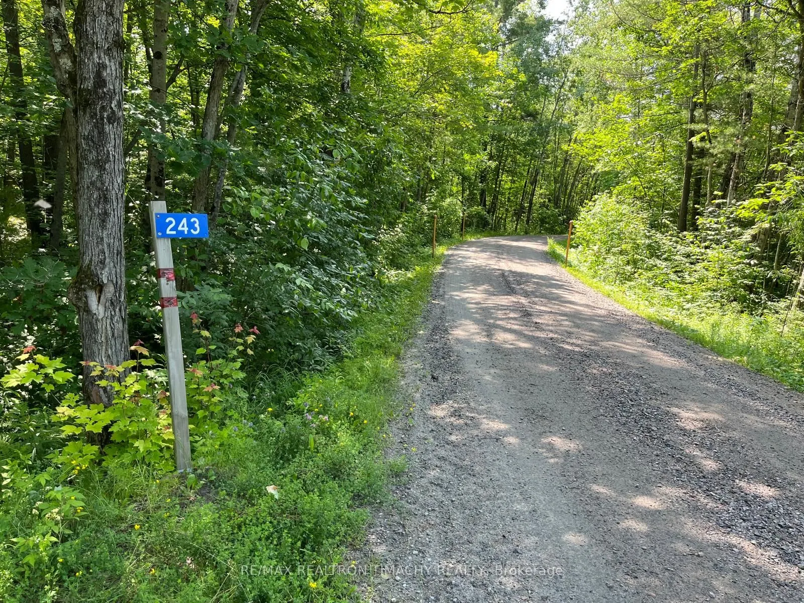 243 PRISQUE Road