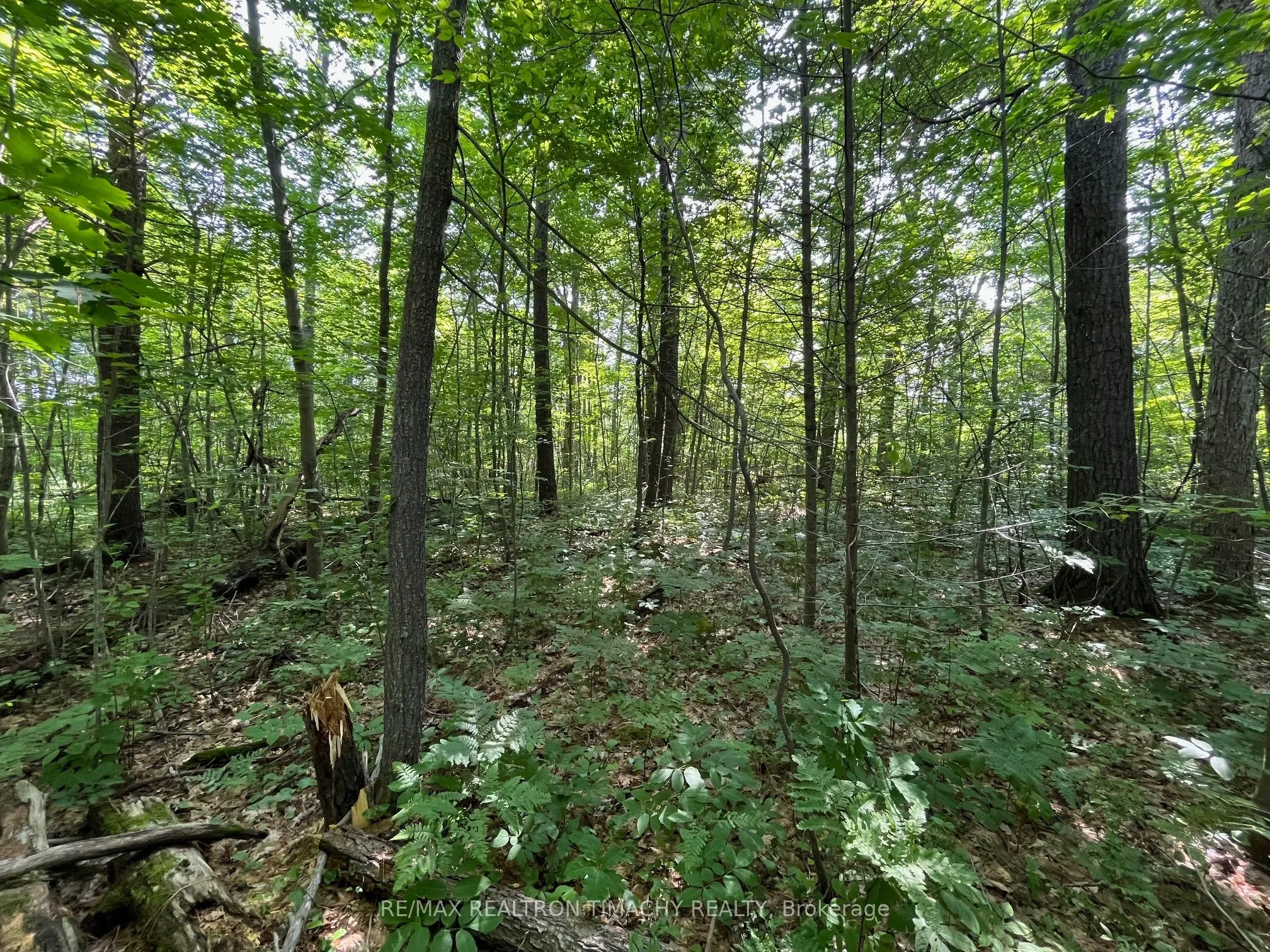243 PRISQUE Road