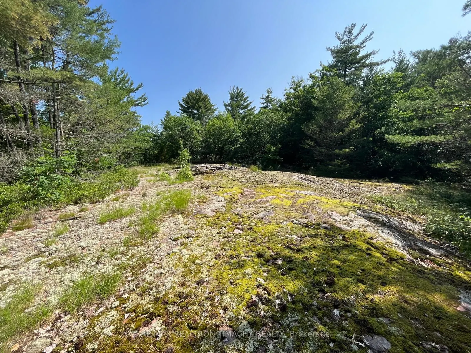 243 PRISQUE Road