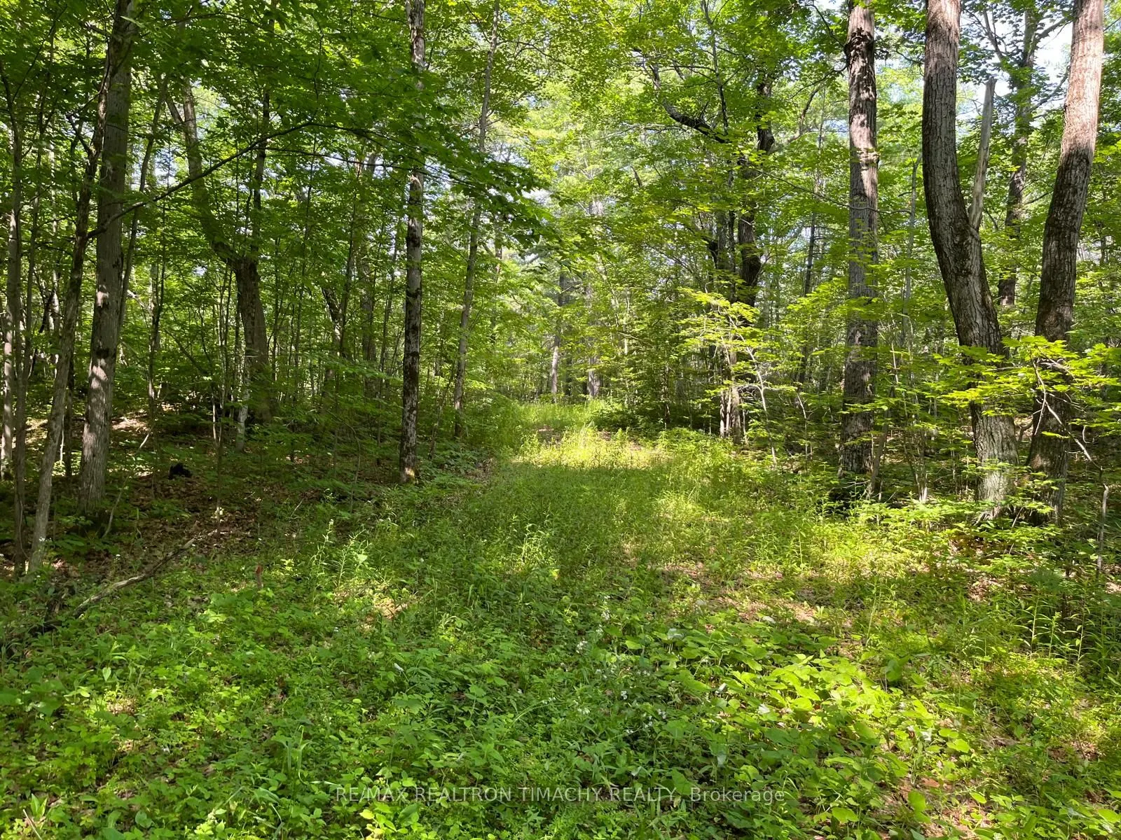 243 PRISQUE Road