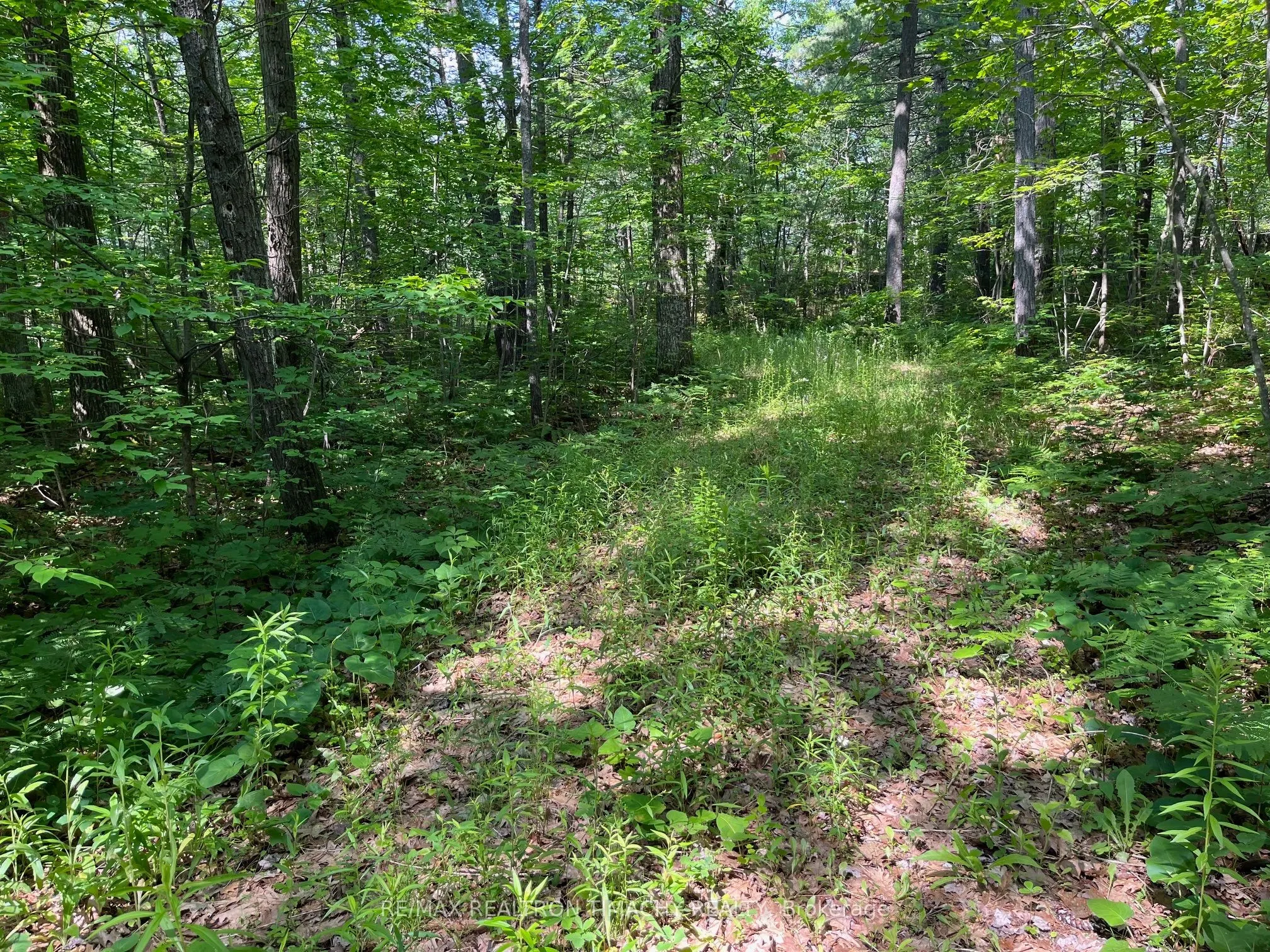 243 PRISQUE Road