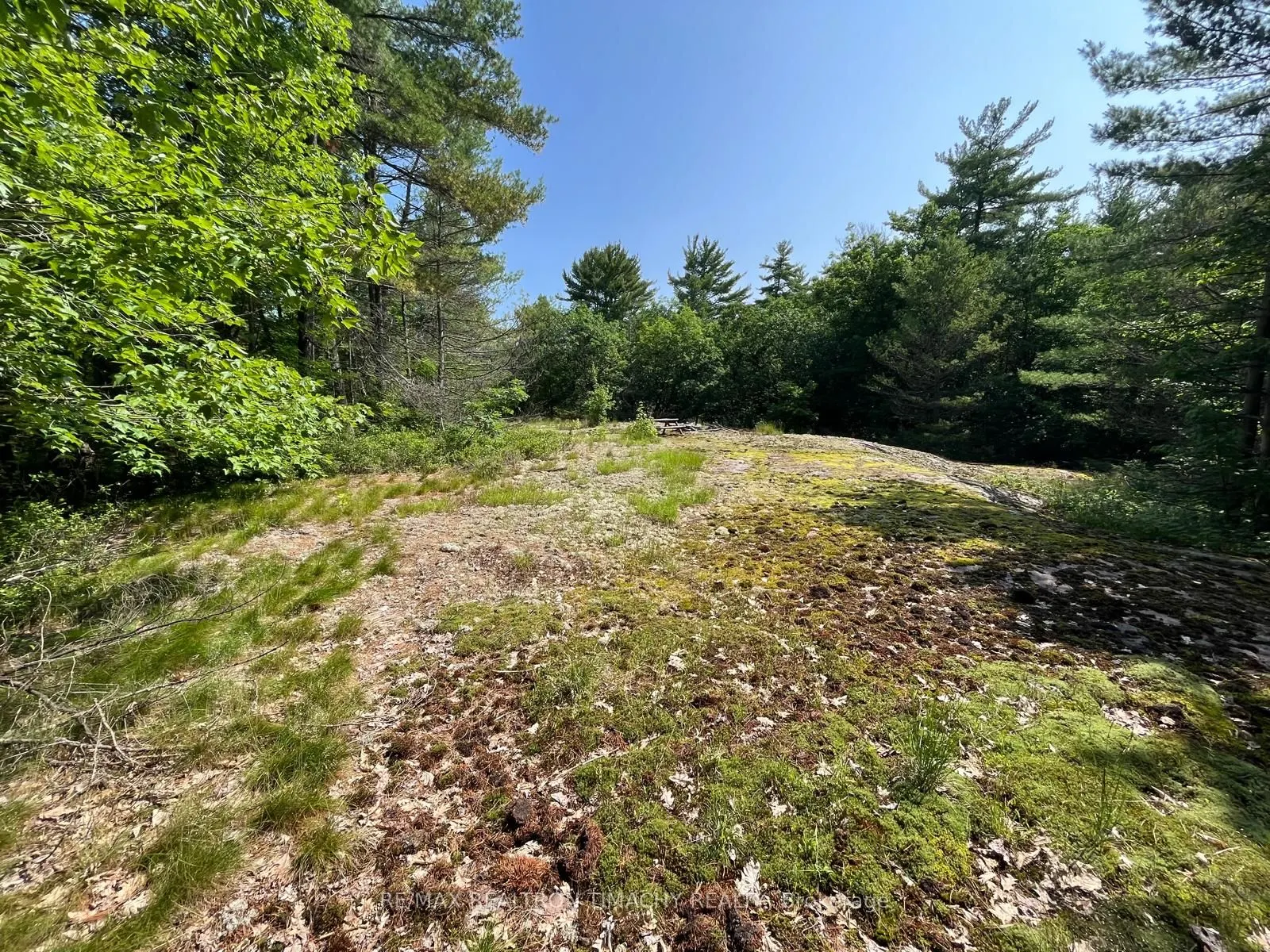 243 PRISQUE Road