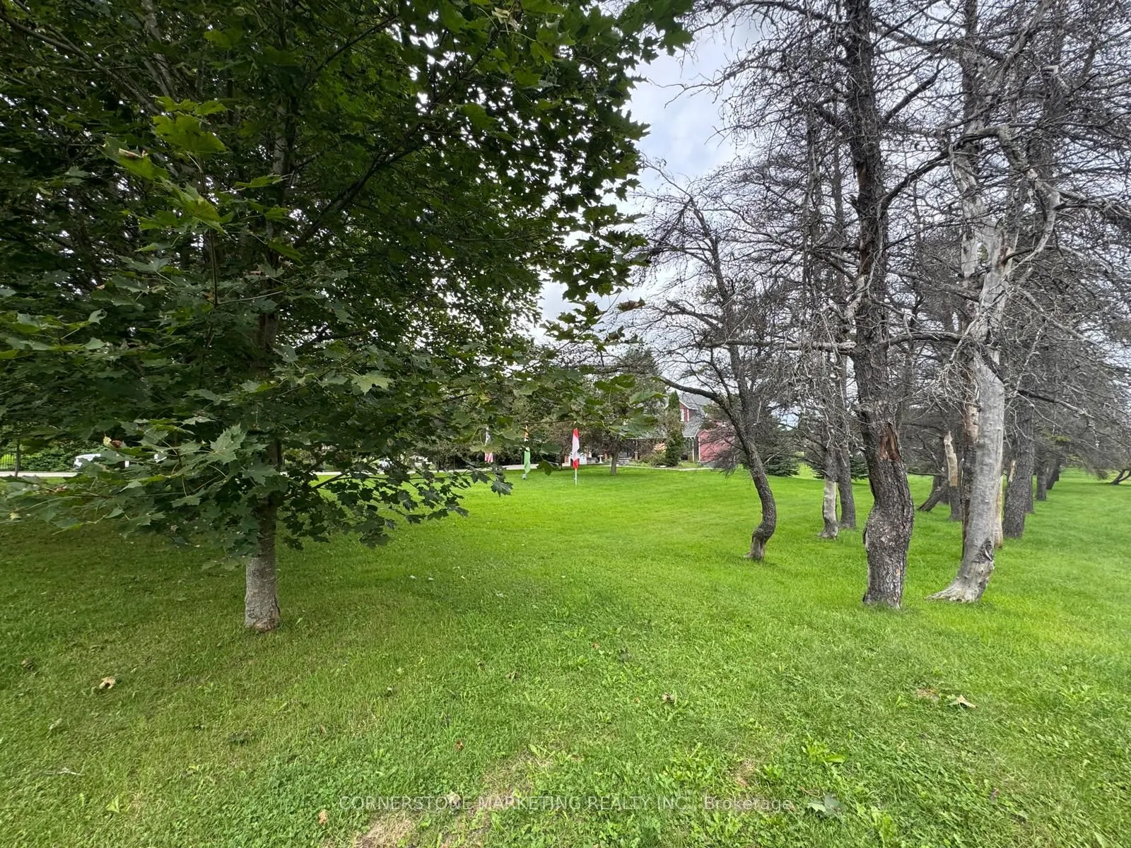 6 Maplewood Drive